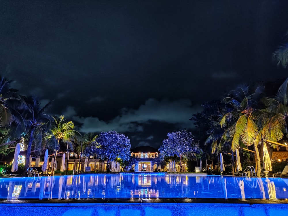 green palm trees near body of water during night time