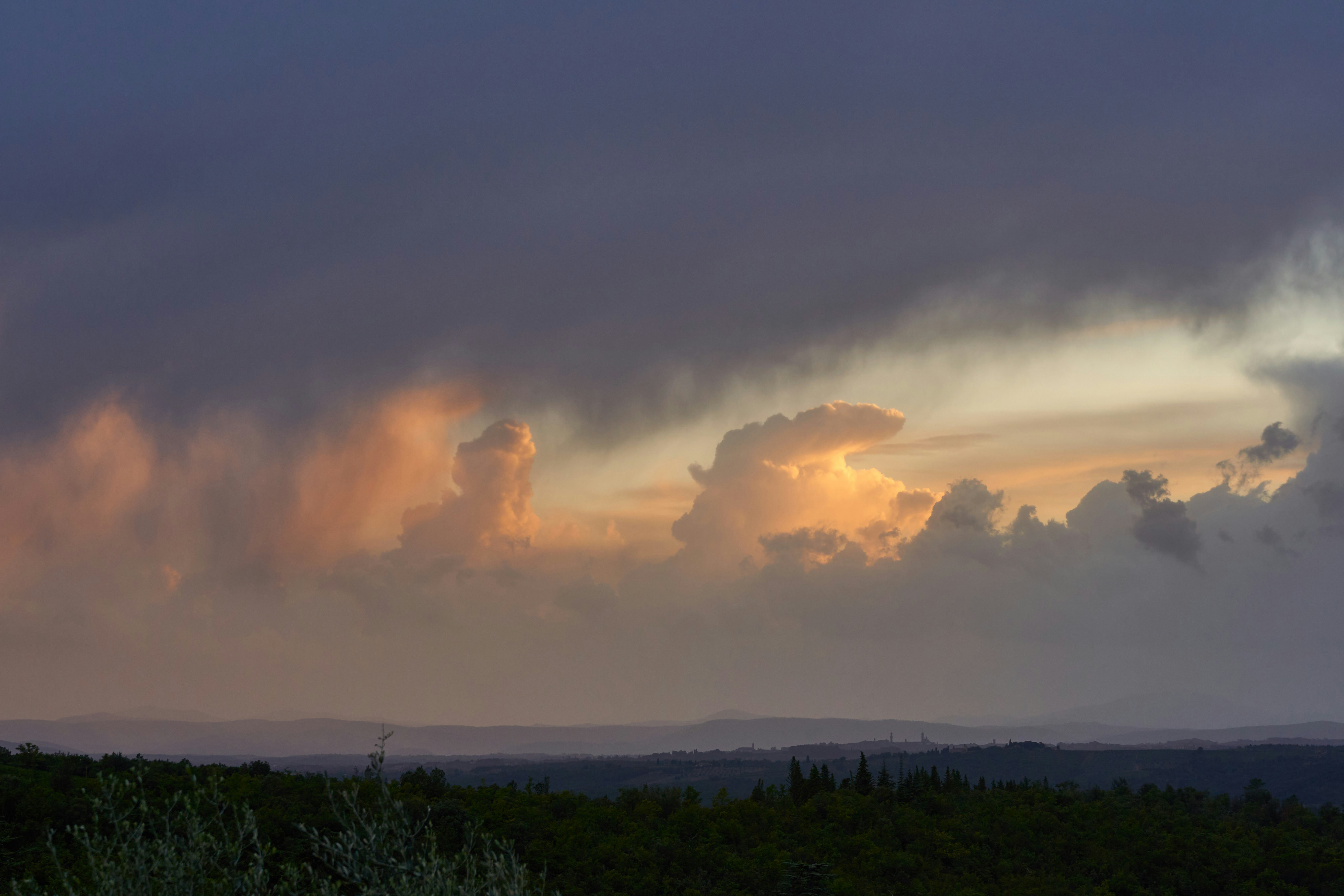 Photo by wolfgang_hasselmann