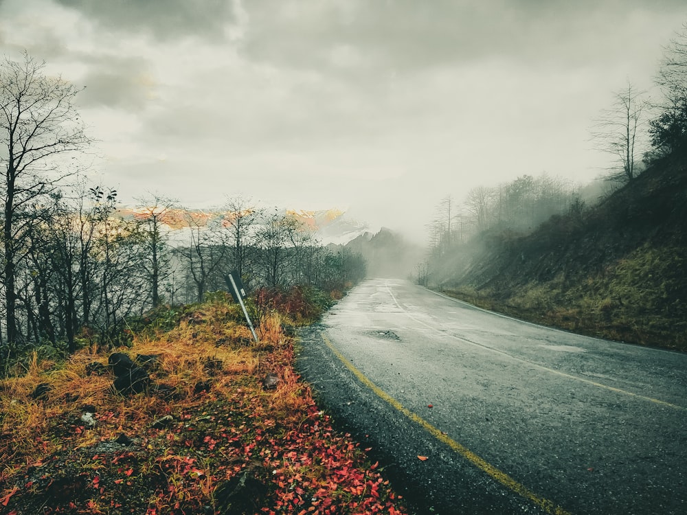 gray asphalt road between brown grass field under gray cloudy sky during daytime