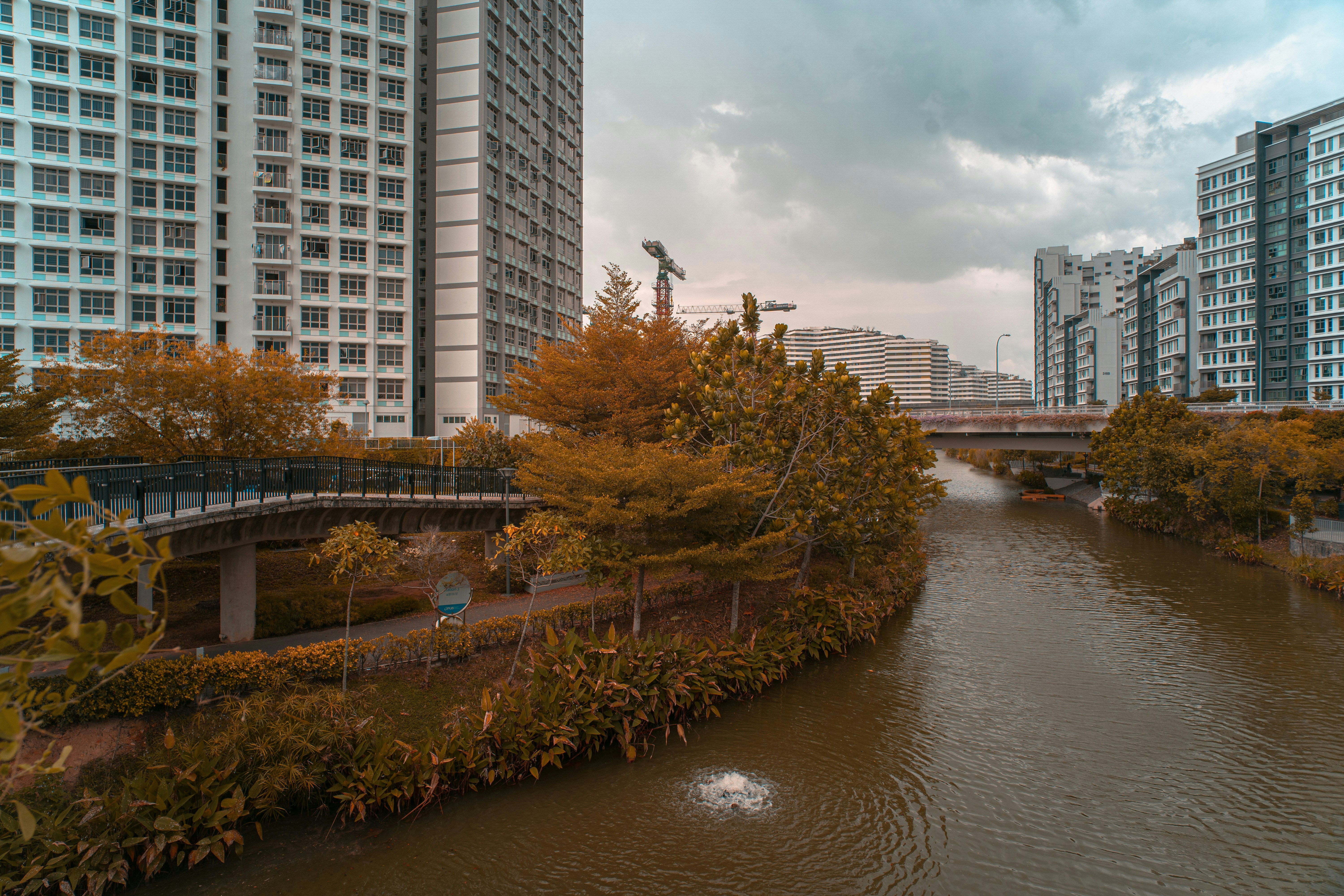 body of water near trees and high rise buildings during daytime, Feel free to download working files and RAW files here: bit.ly/ivanyeors You can also edit the colors to your own liking! If this has helped you with your personal or commercial project feel free to donate any amount. Paypal: ivanyeoart@gmail.com