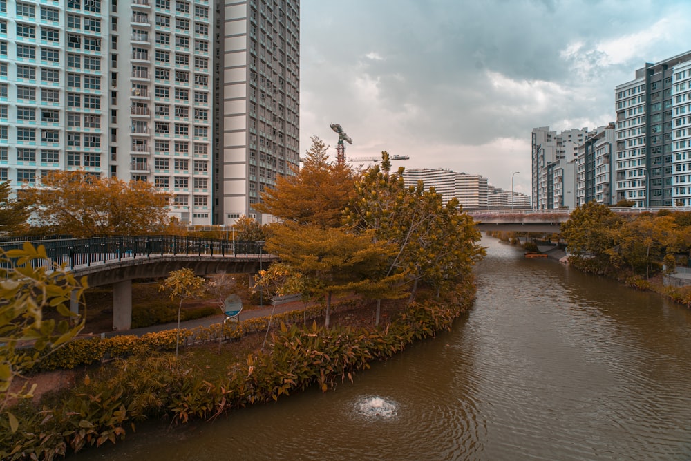 body of water near trees and high rise buildings during daytime