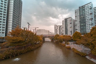 A serene urban scene with a river flowing between two rows of high-rise residential buildings. The buildings have a modern architectural style, and construction cranes are visible in the distance, suggesting ongoing development. Trees with autumnal foliage line the riverbanks, adding a touch of natural beauty to the urban setting. The sky appears overcast, creating a calm and subdued atmosphere.