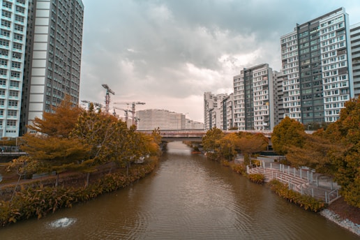 A serene urban scene with a river flowing between two rows of high-rise residential buildings. The buildings have a modern architectural style, and construction cranes are visible in the distance, suggesting ongoing development. Trees with autumnal foliage line the riverbanks, adding a touch of natural beauty to the urban setting. The sky appears overcast, creating a calm and subdued atmosphere.