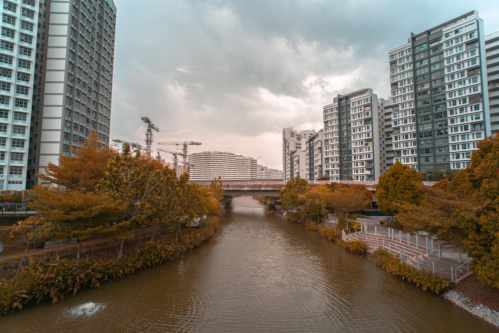 green trees near river and high rise buildings during daytime