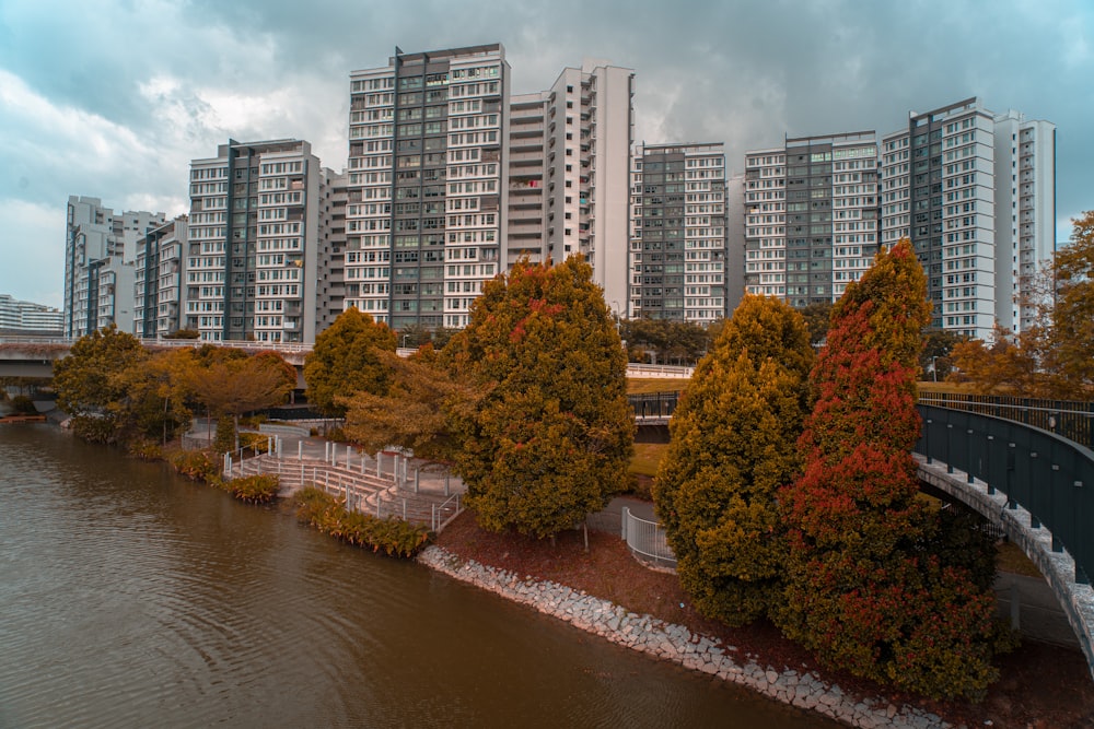 river between trees and high rise buildings during daytime