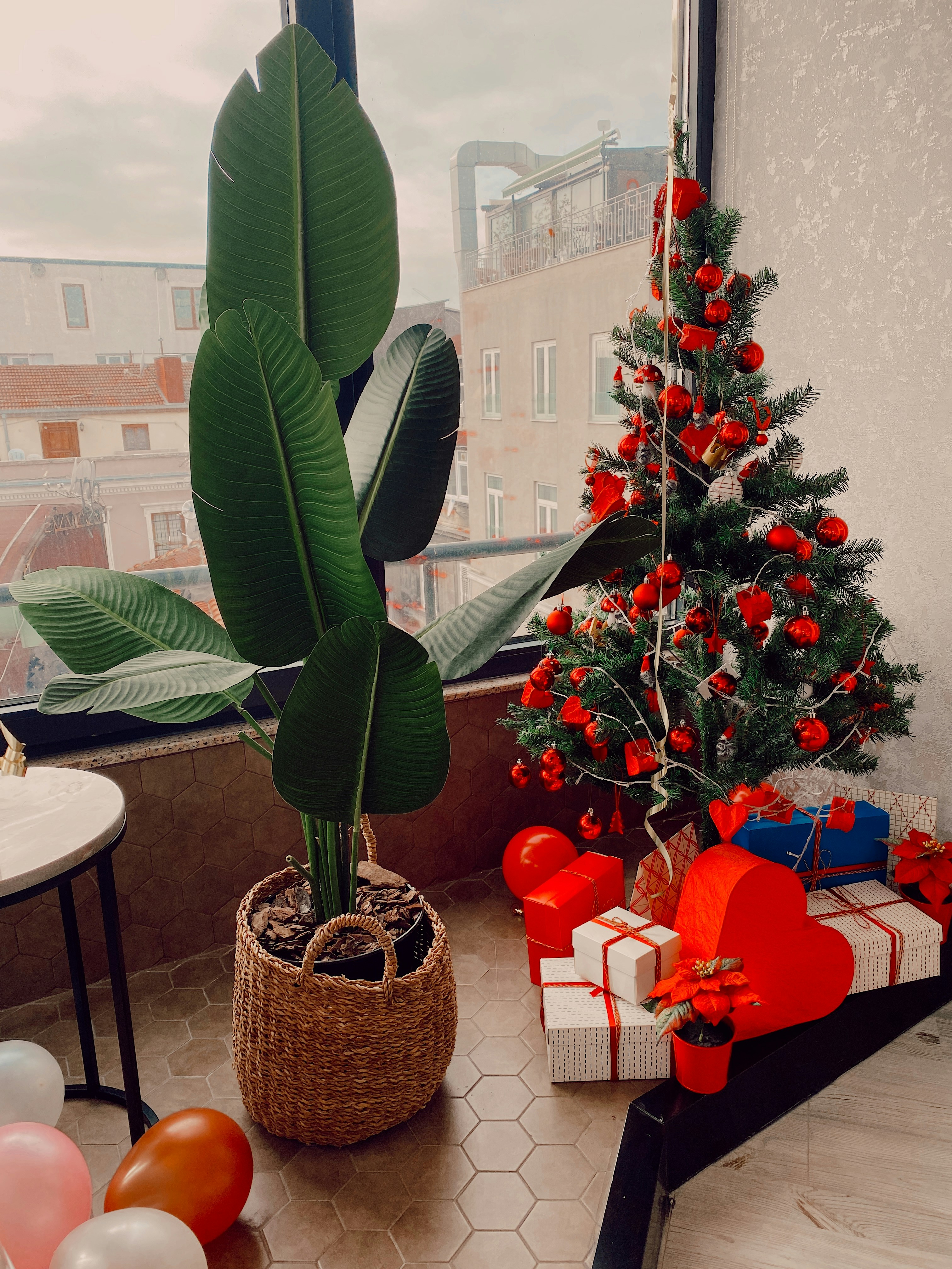 grüne Pflanze auf braun geflochtenem Korb