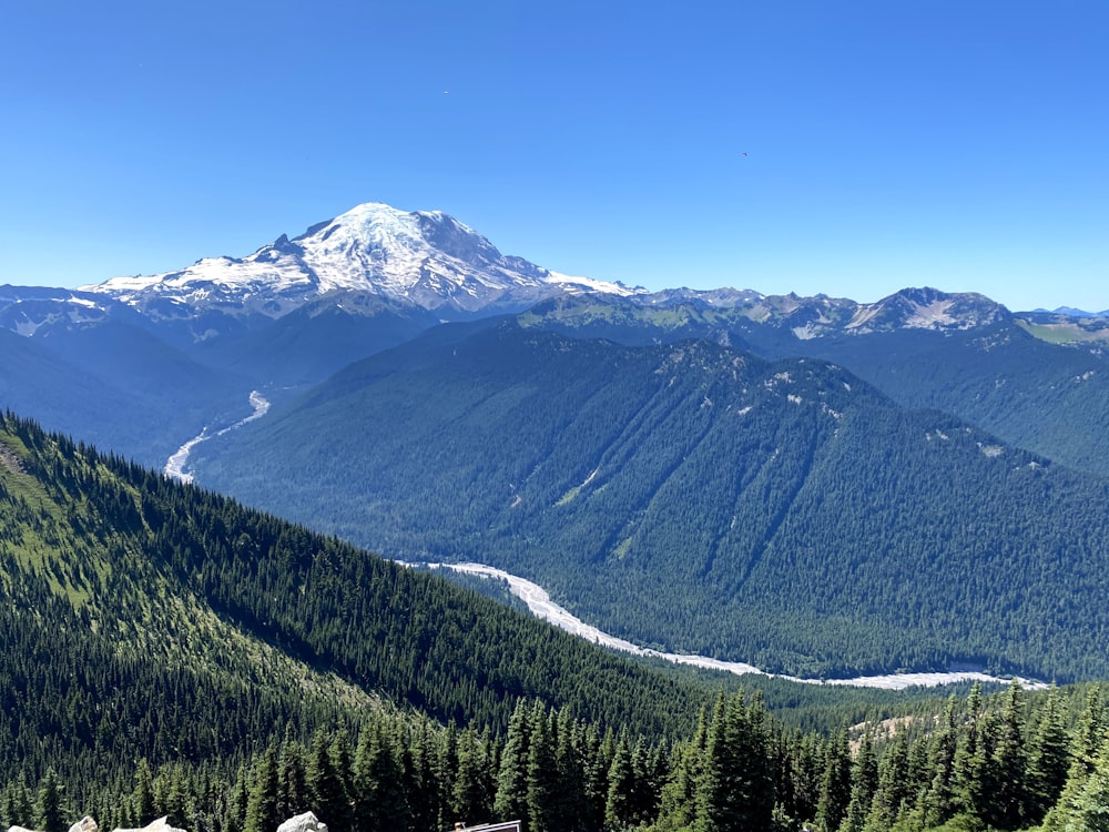 green trees on mountain under blue sky during daytime