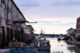 A waterfront scene showcasing a line of boats docked along the wooden piers of an industrial area. Weathered buildings flank the left side with seagulls perched on metal cages in the foreground. The sky is overcast with a hint of sunset colors, and the calm water reflects the muted light.
