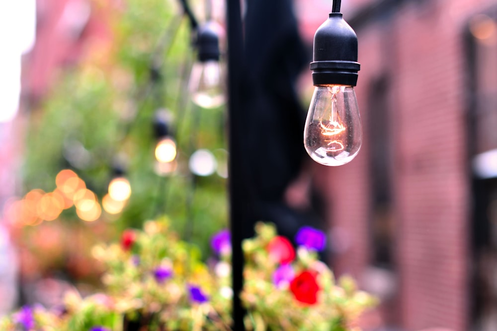 black and clear light bulb