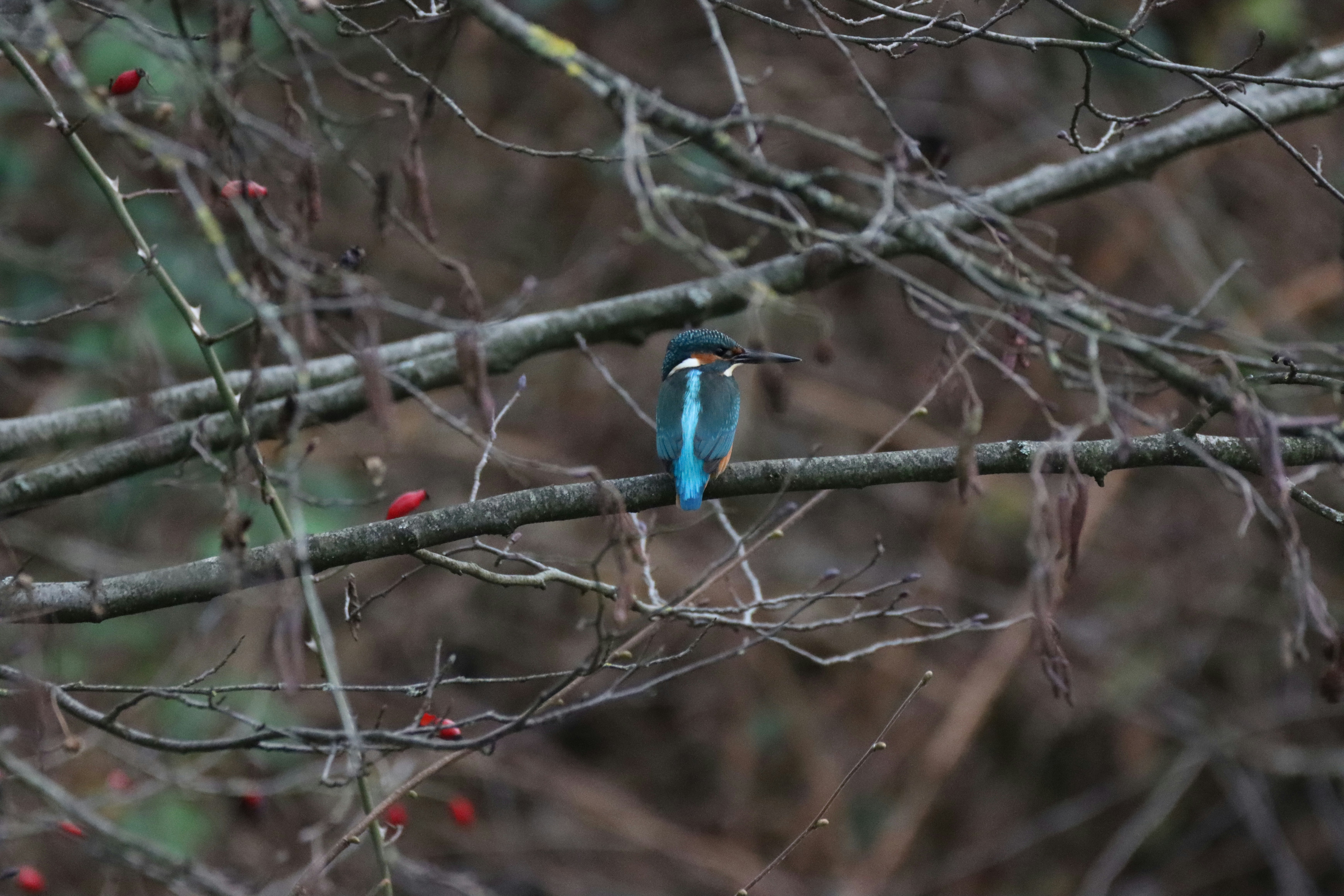 Photo by photasticlab