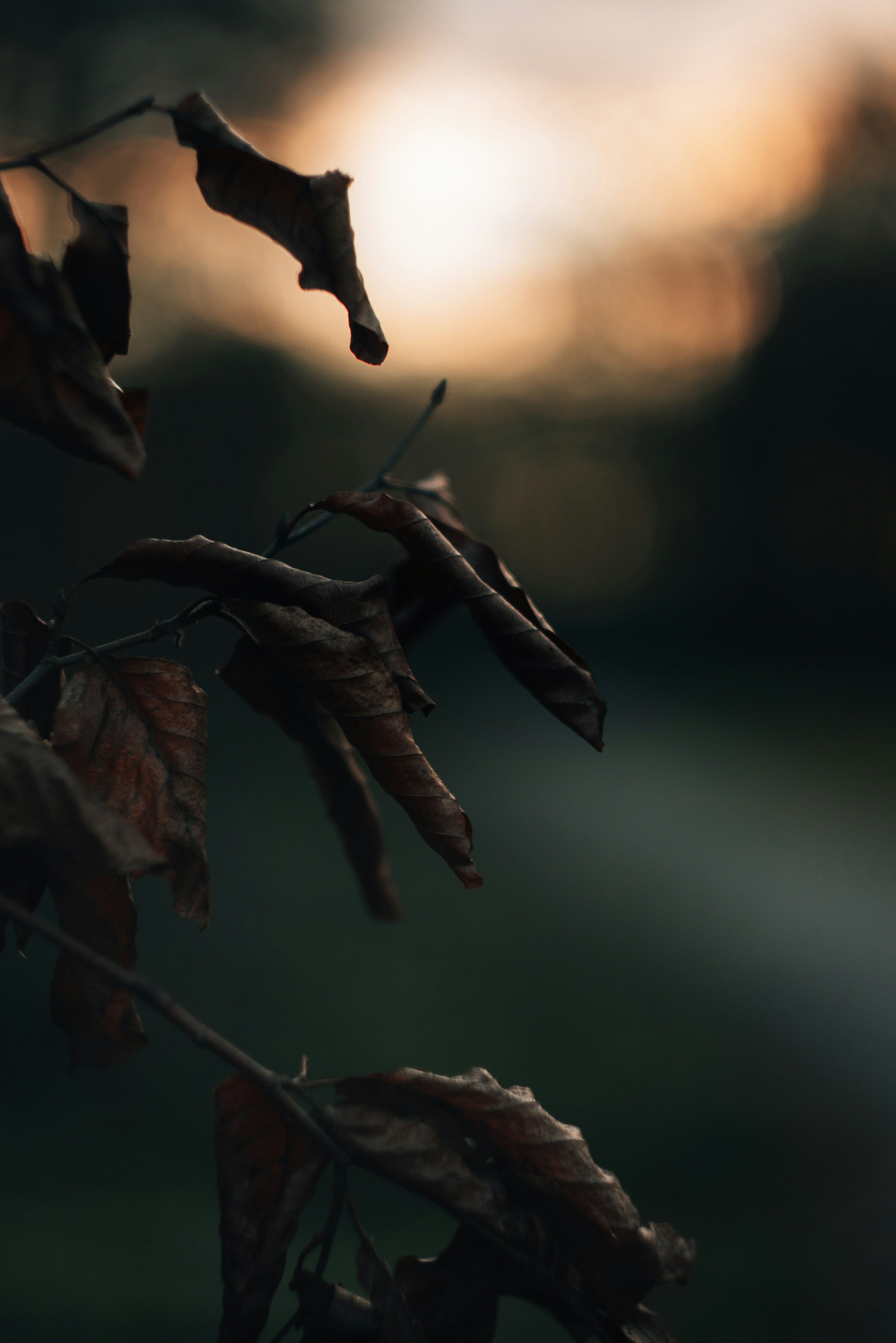 Photo by mirkosphoto