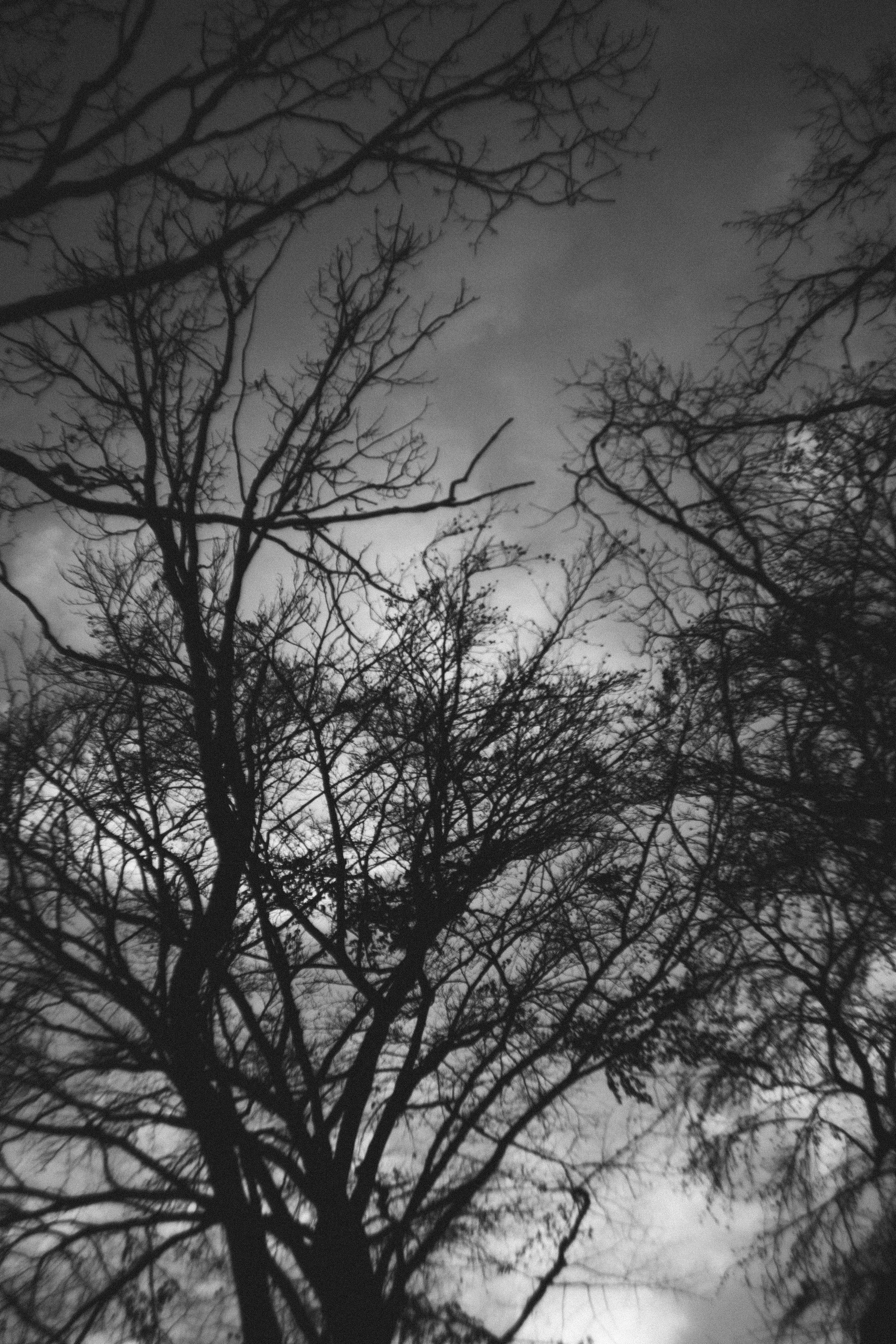 Photo by mirkosphoto