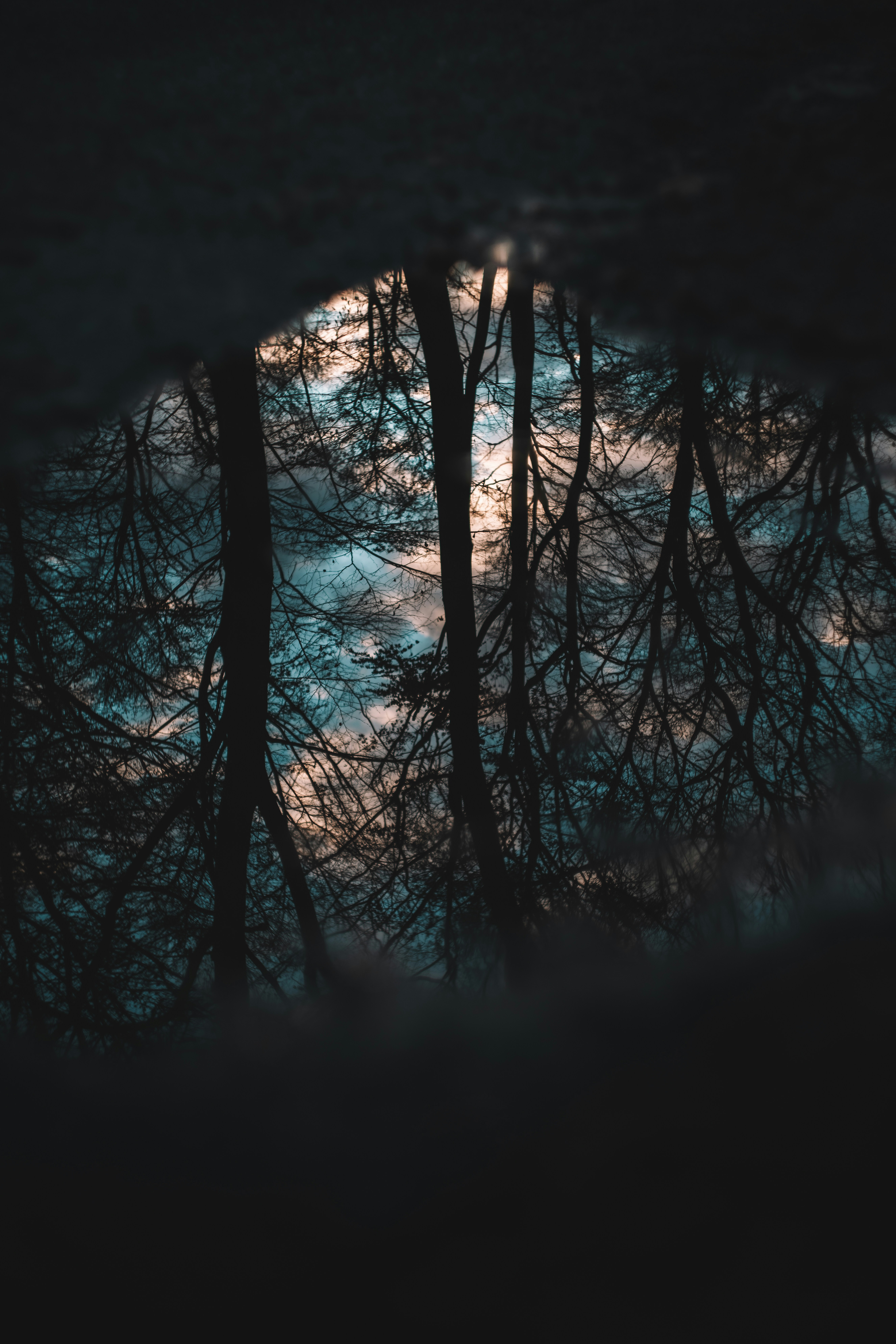 Photo by mirkosphoto