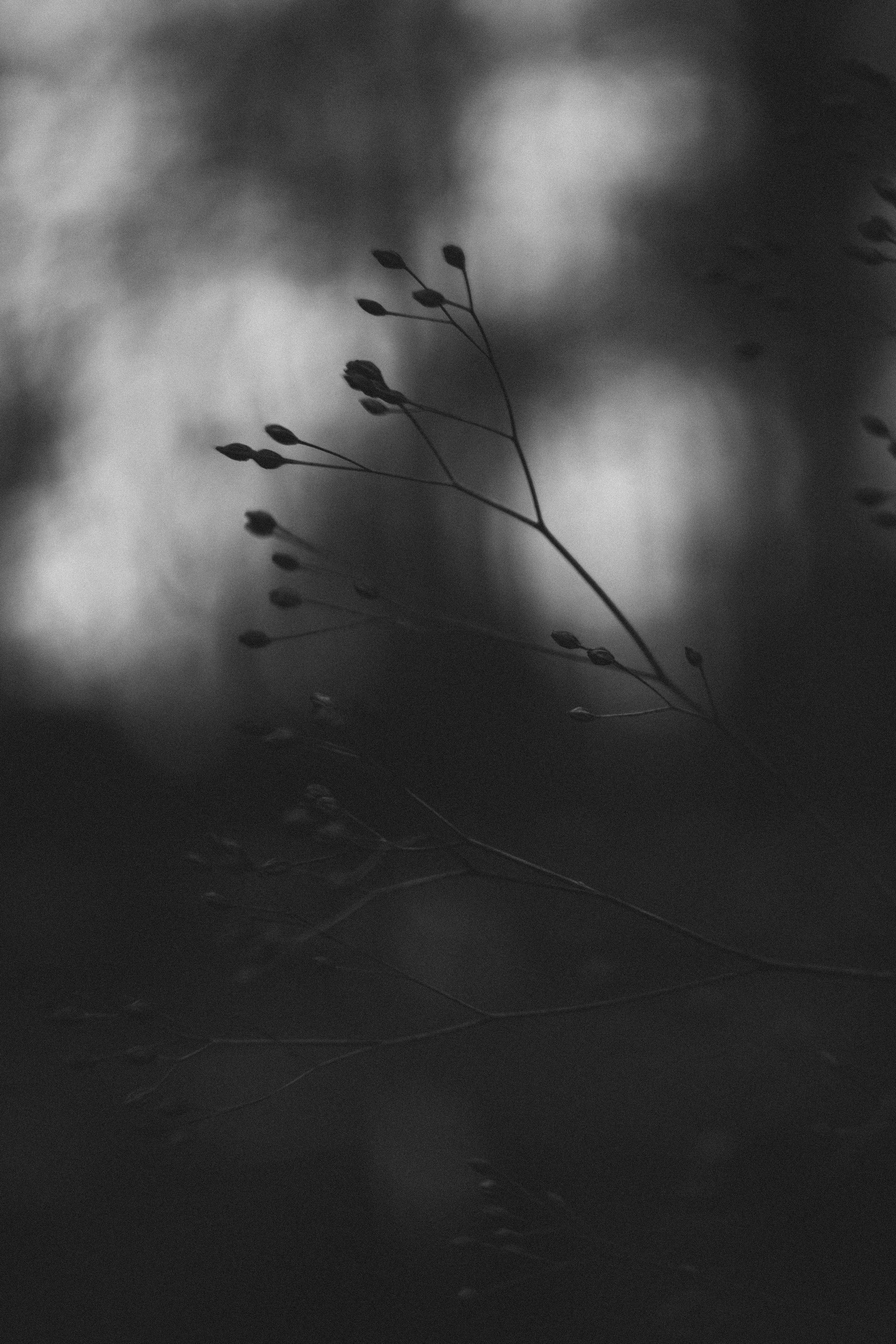 Photo by mirkosphoto