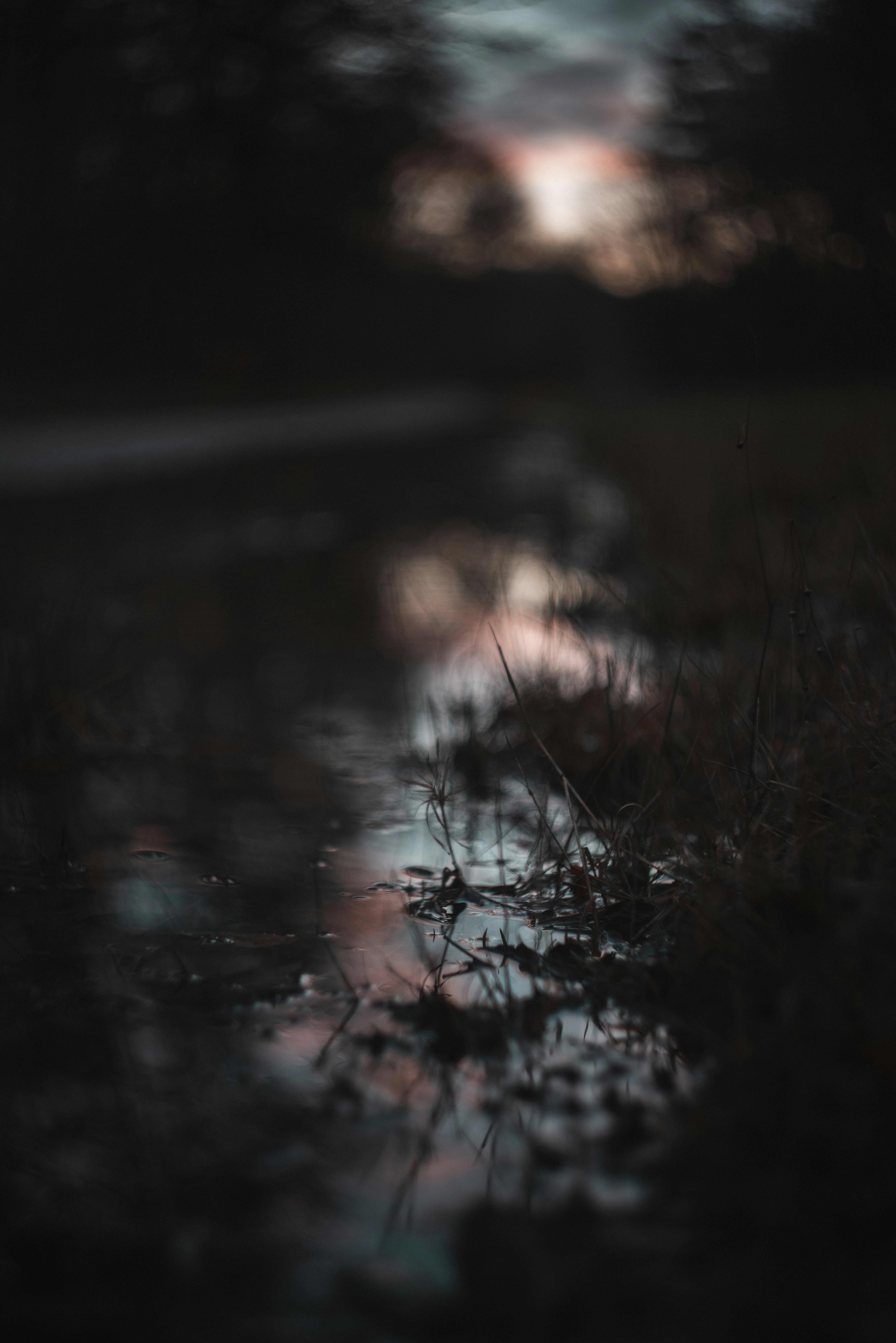 Photo by mirkosphoto