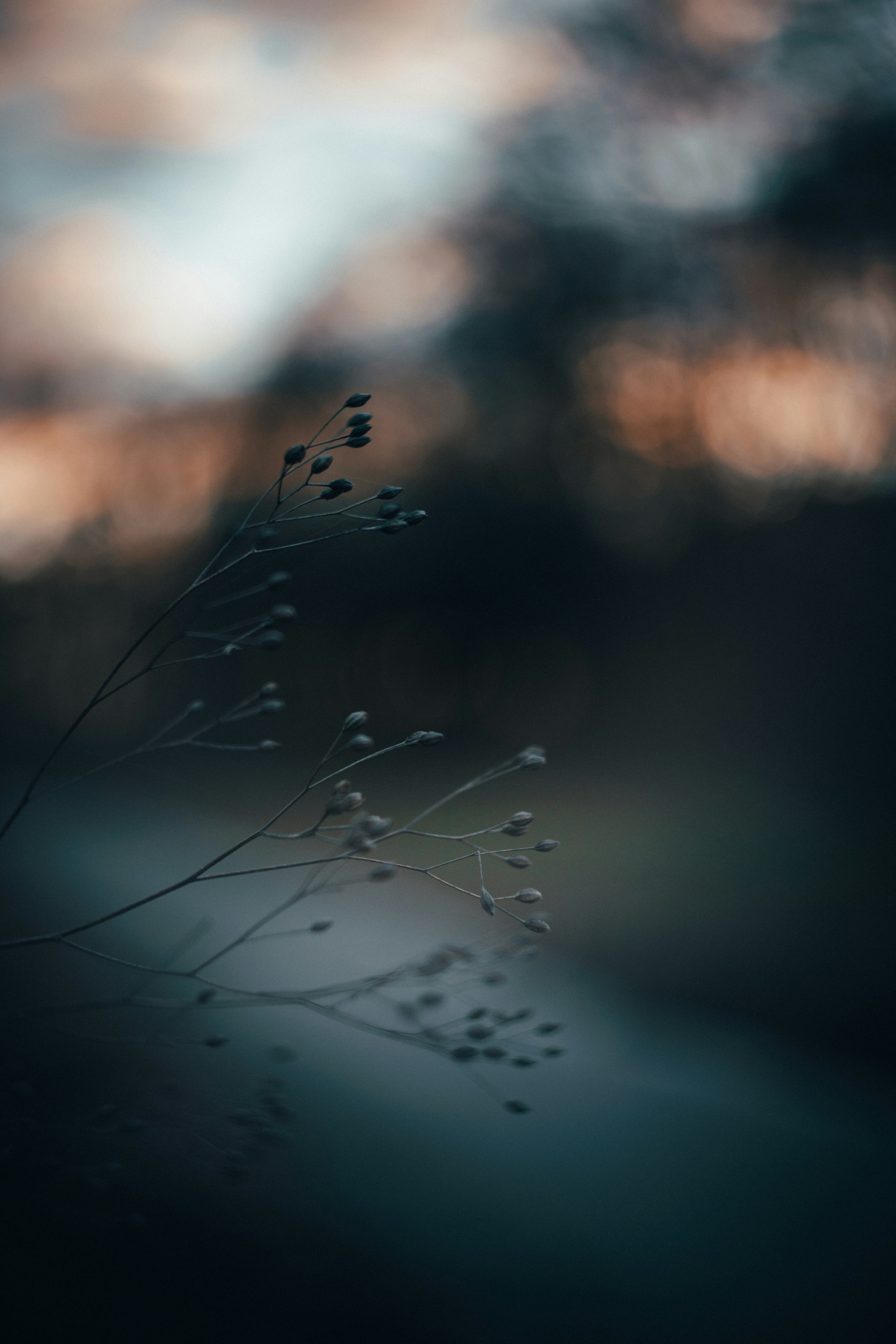 Photo by mirkosphoto