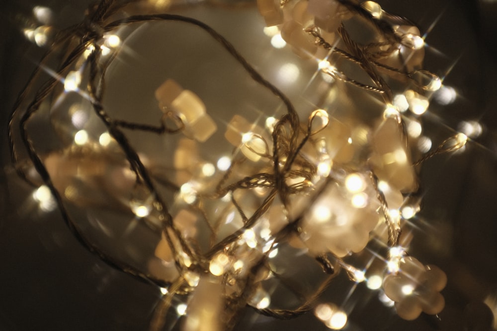 yellow string lights on tree branch