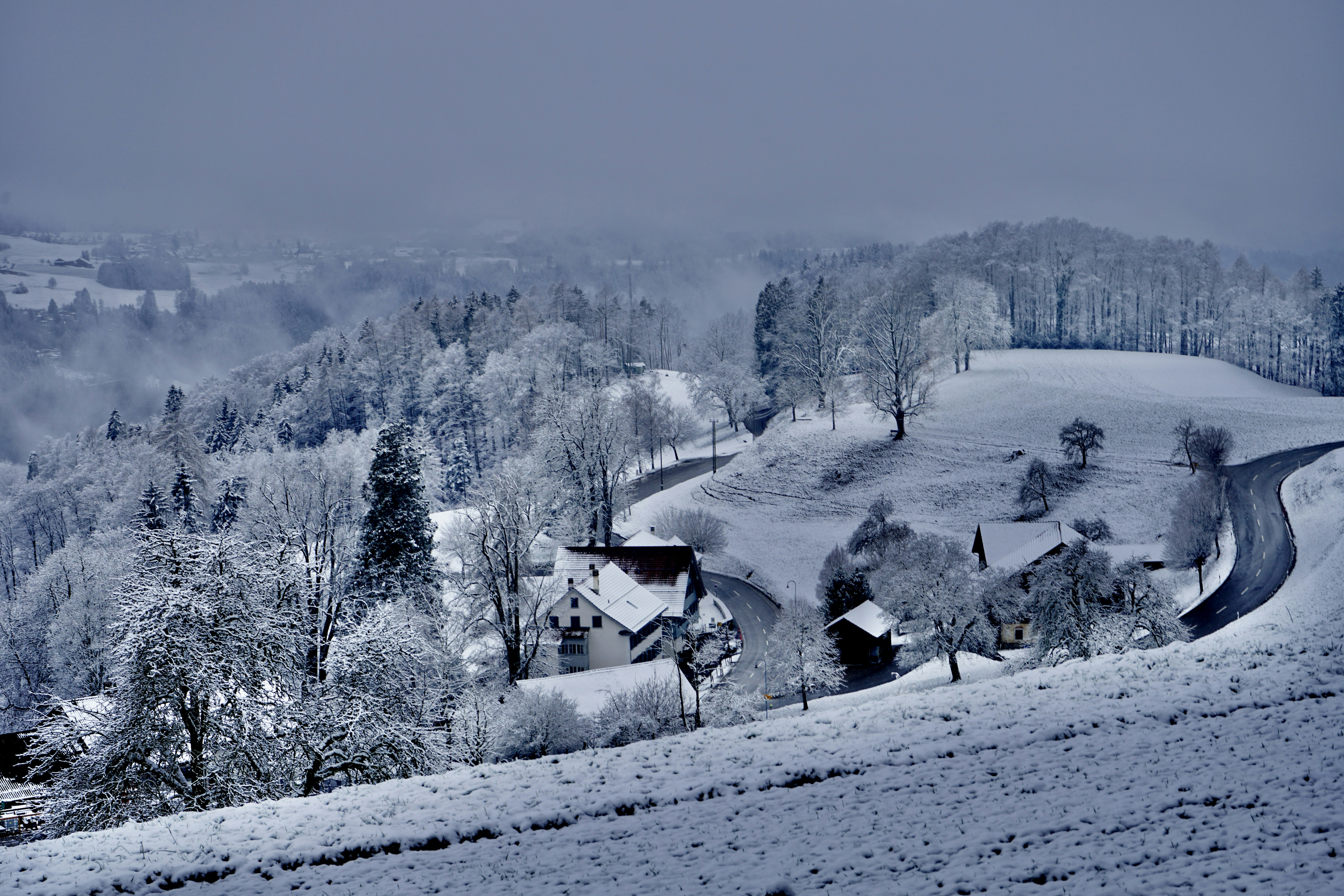 snow covered trees and mountains during daytime