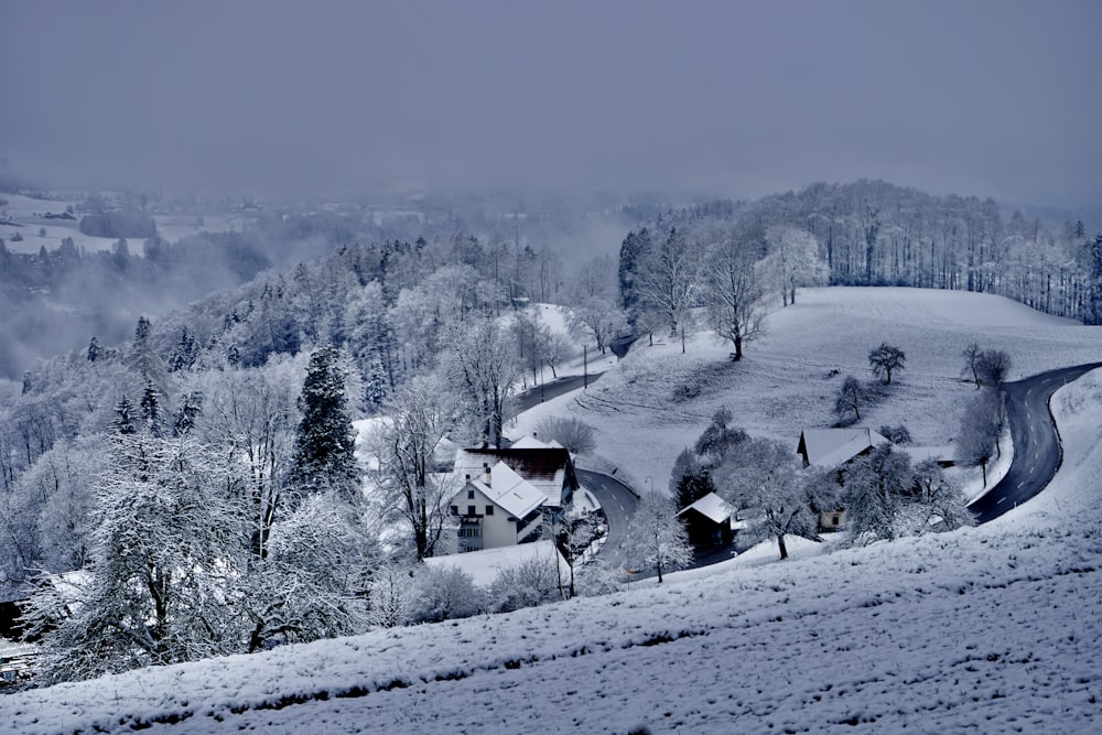 snow covered trees and mountains during daytime