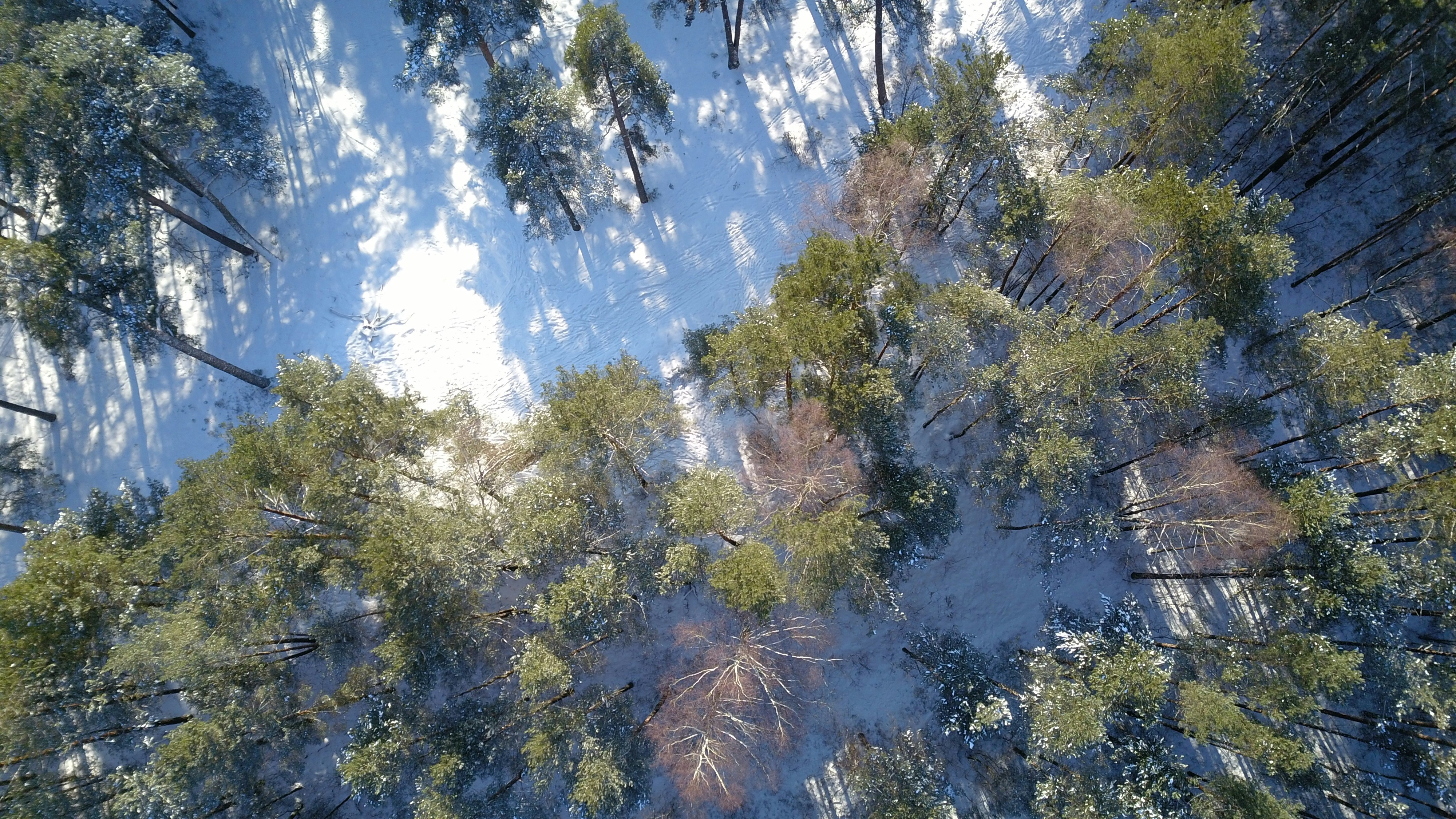 Photo by raimondklavins