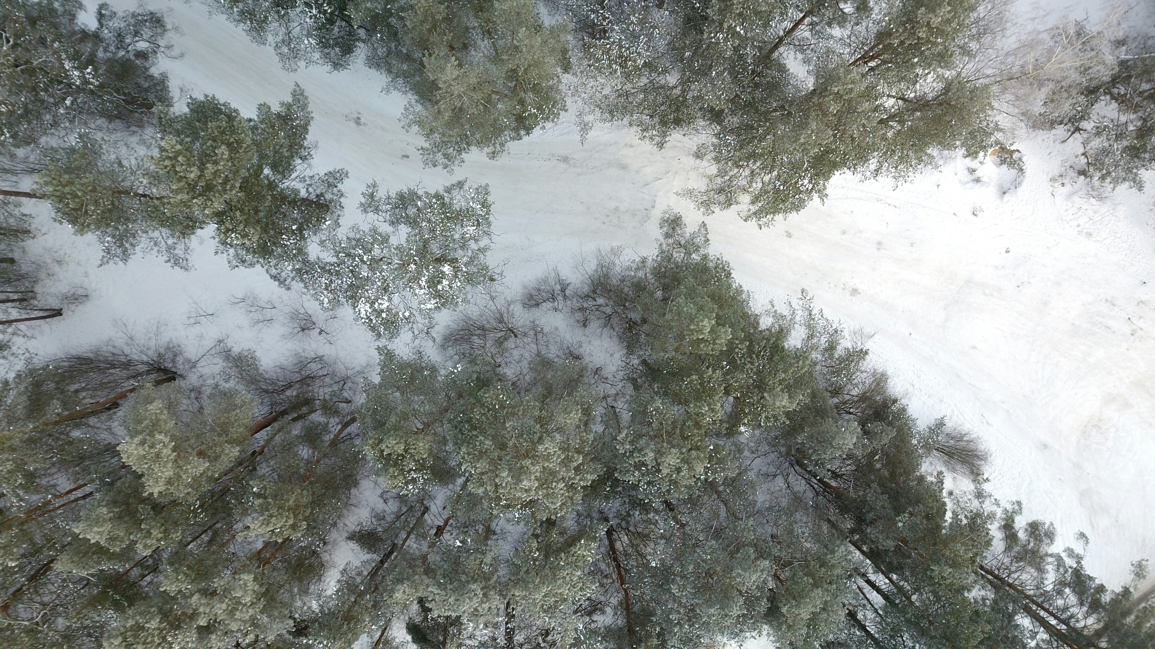 Photo by raimondklavins