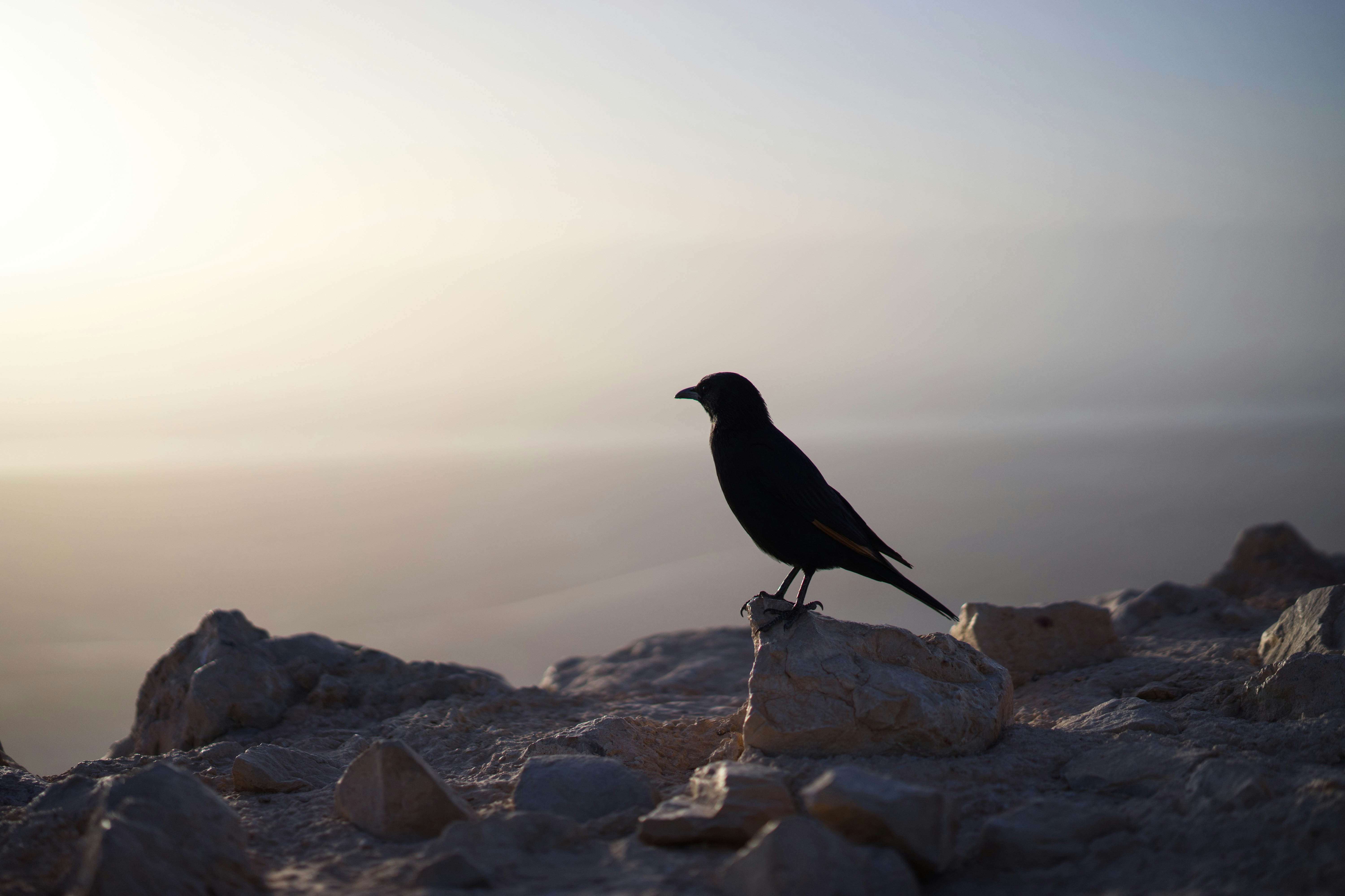 Photo by raimondklavins
