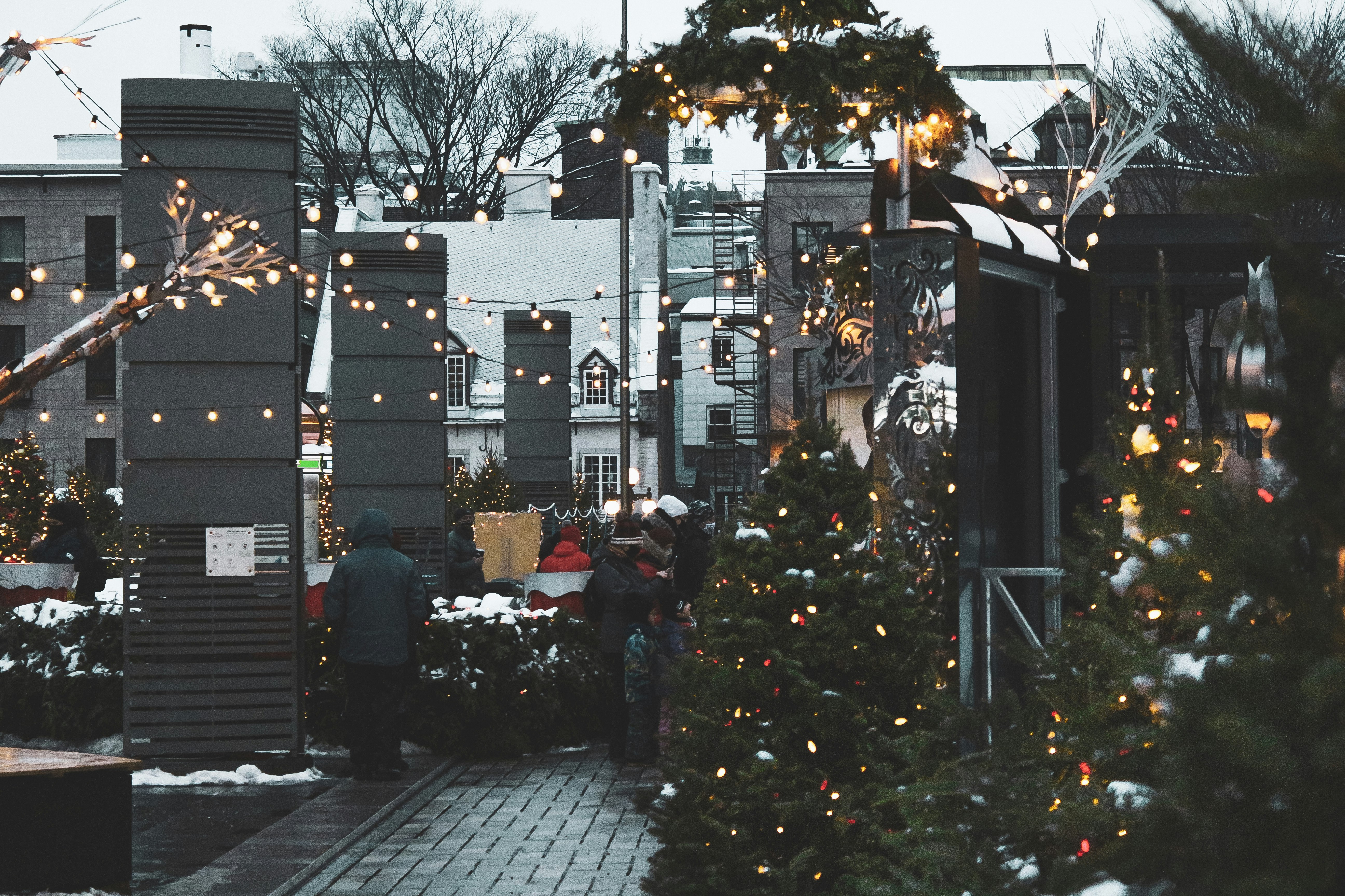 people sitting on bench near christmas tree during daytime