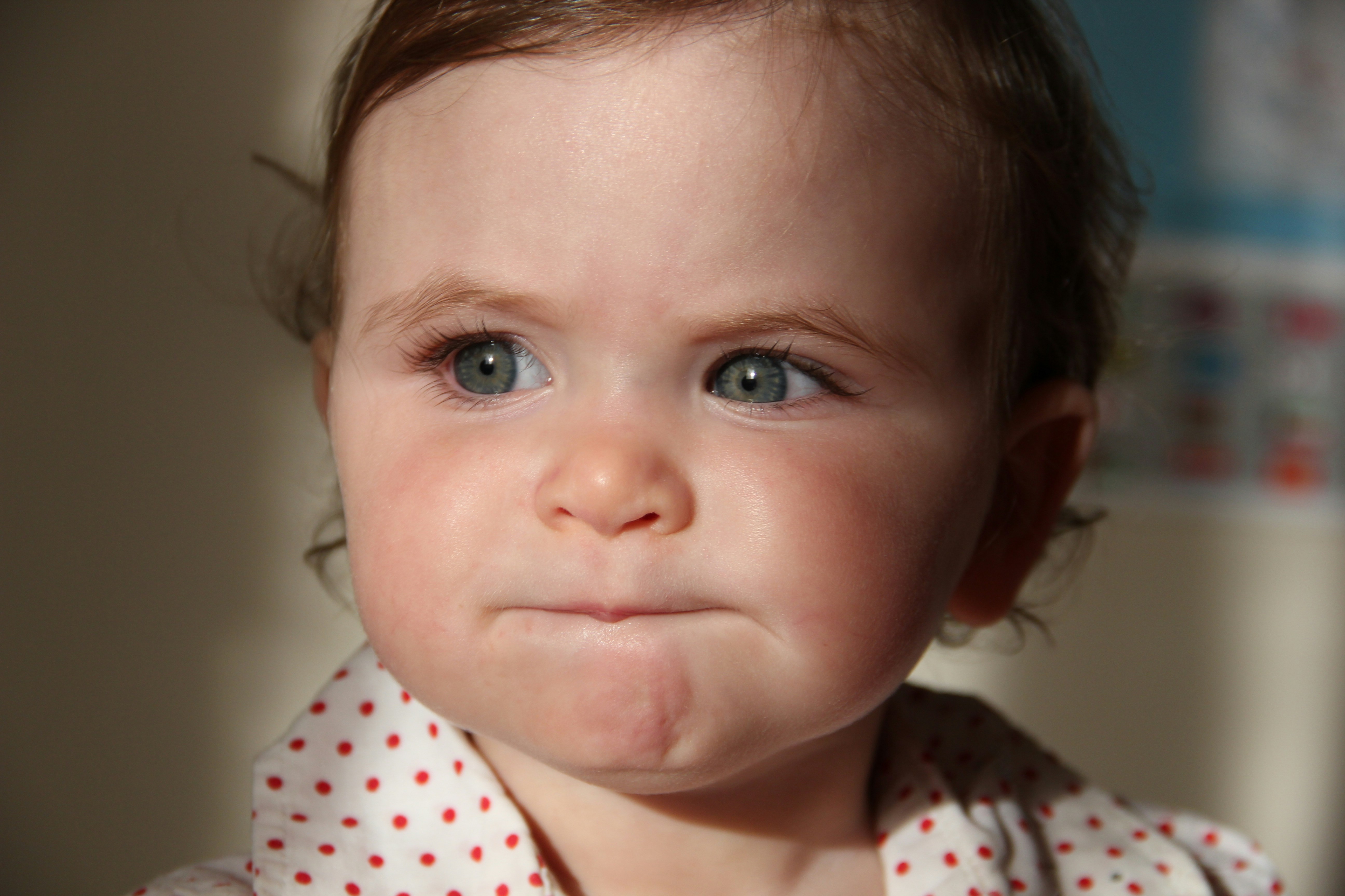 Photo by shalevcohen