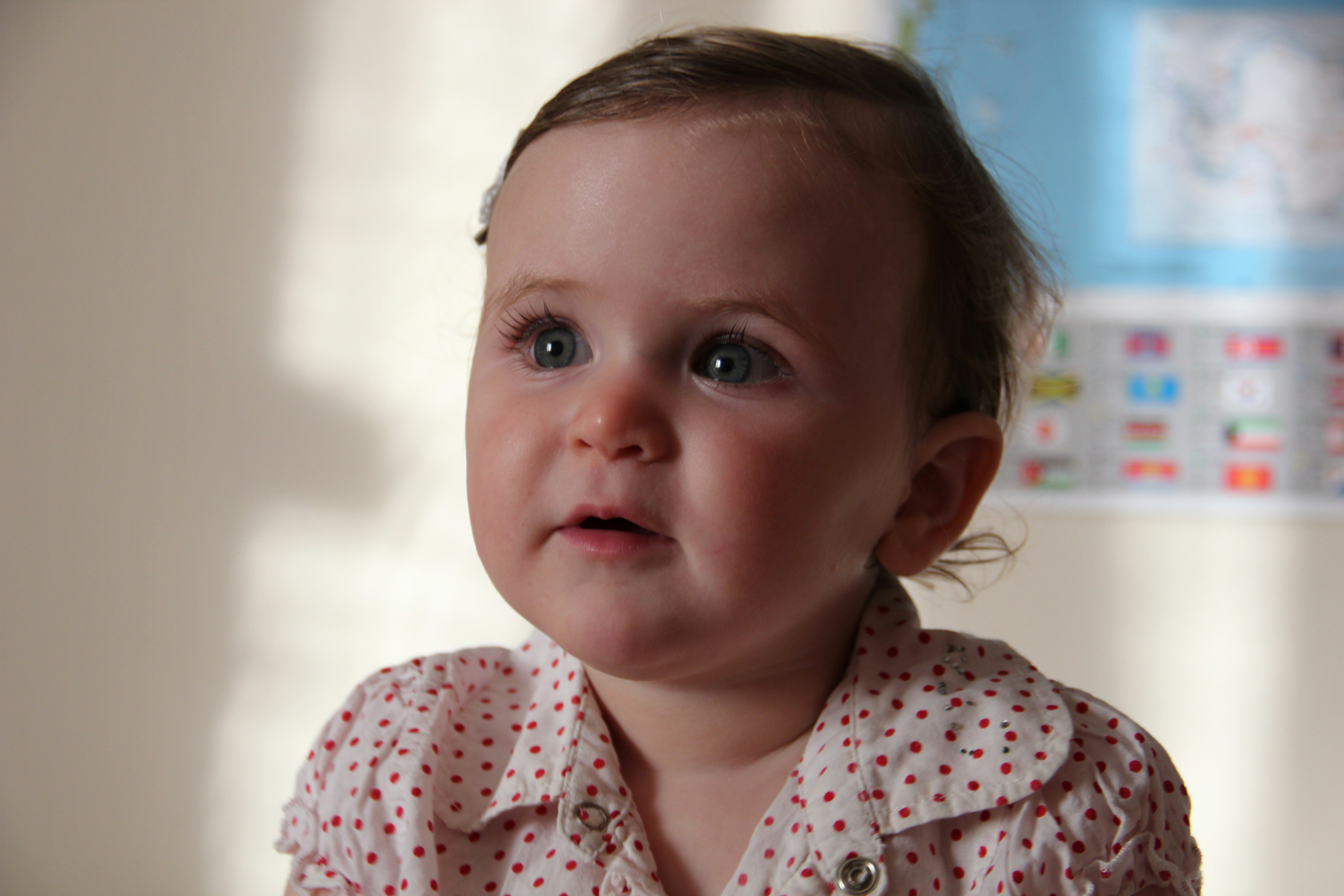 Photo by shalevcohen