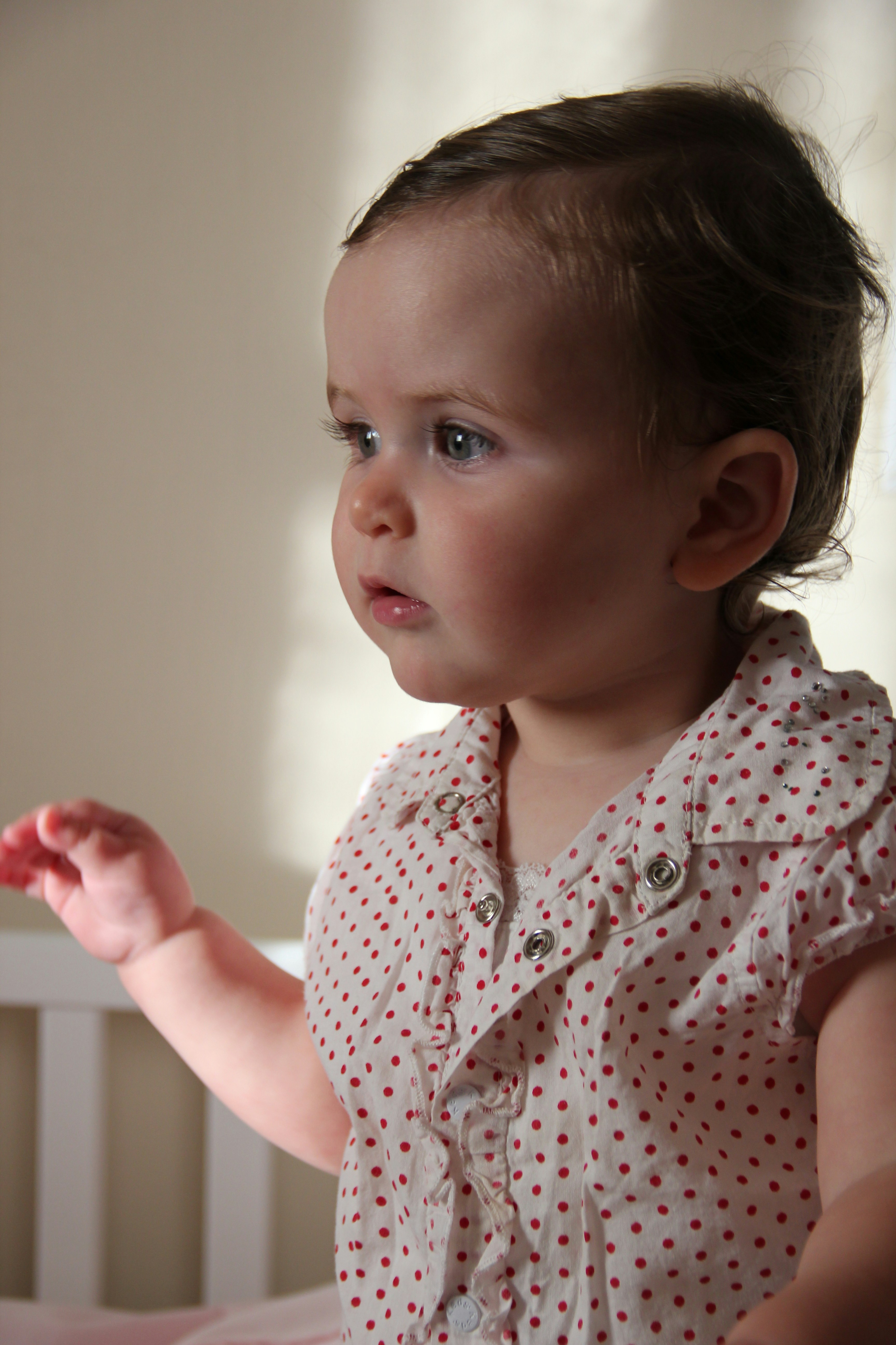 Photo by shalevcohen