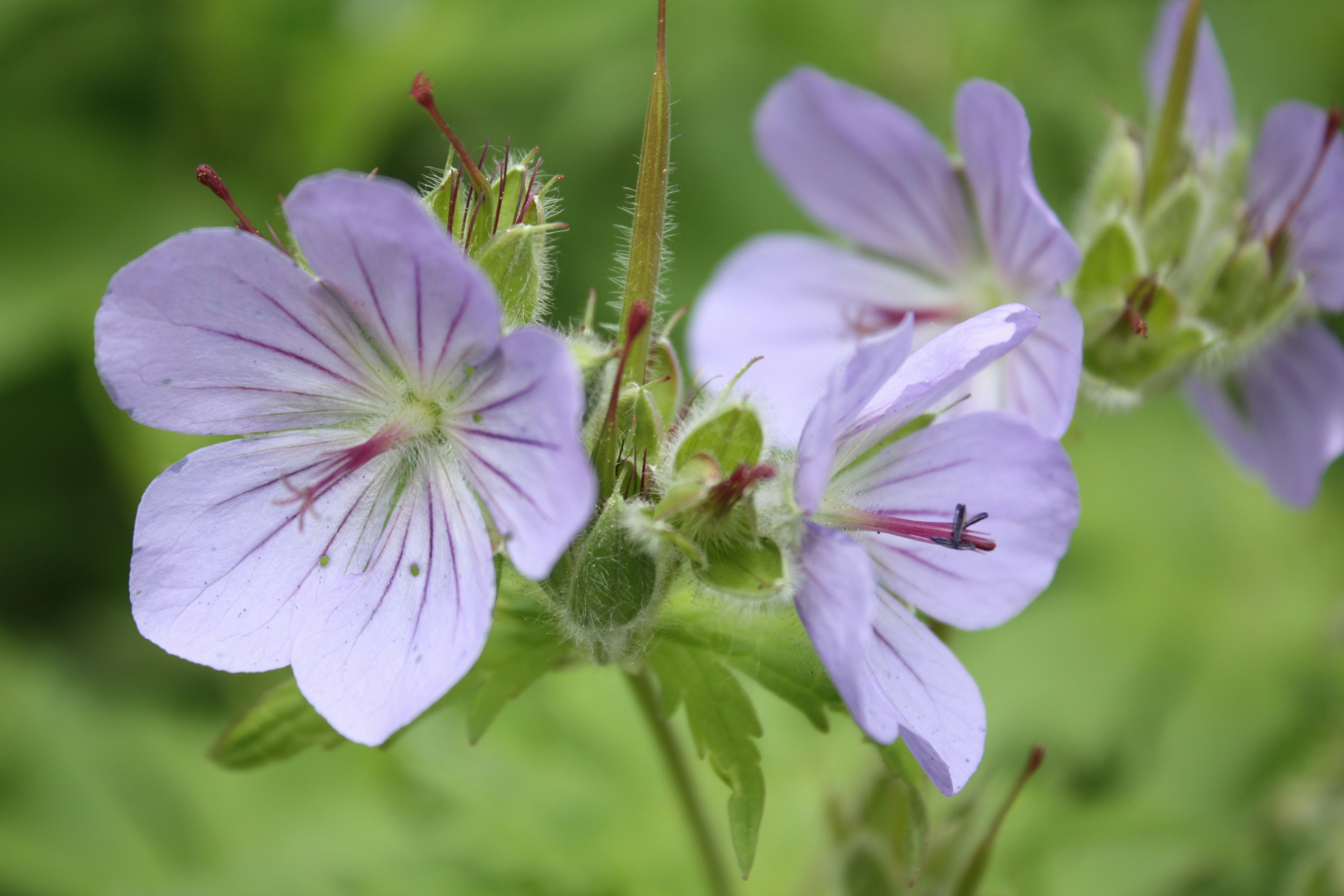 Photo by sunburned_surveyor