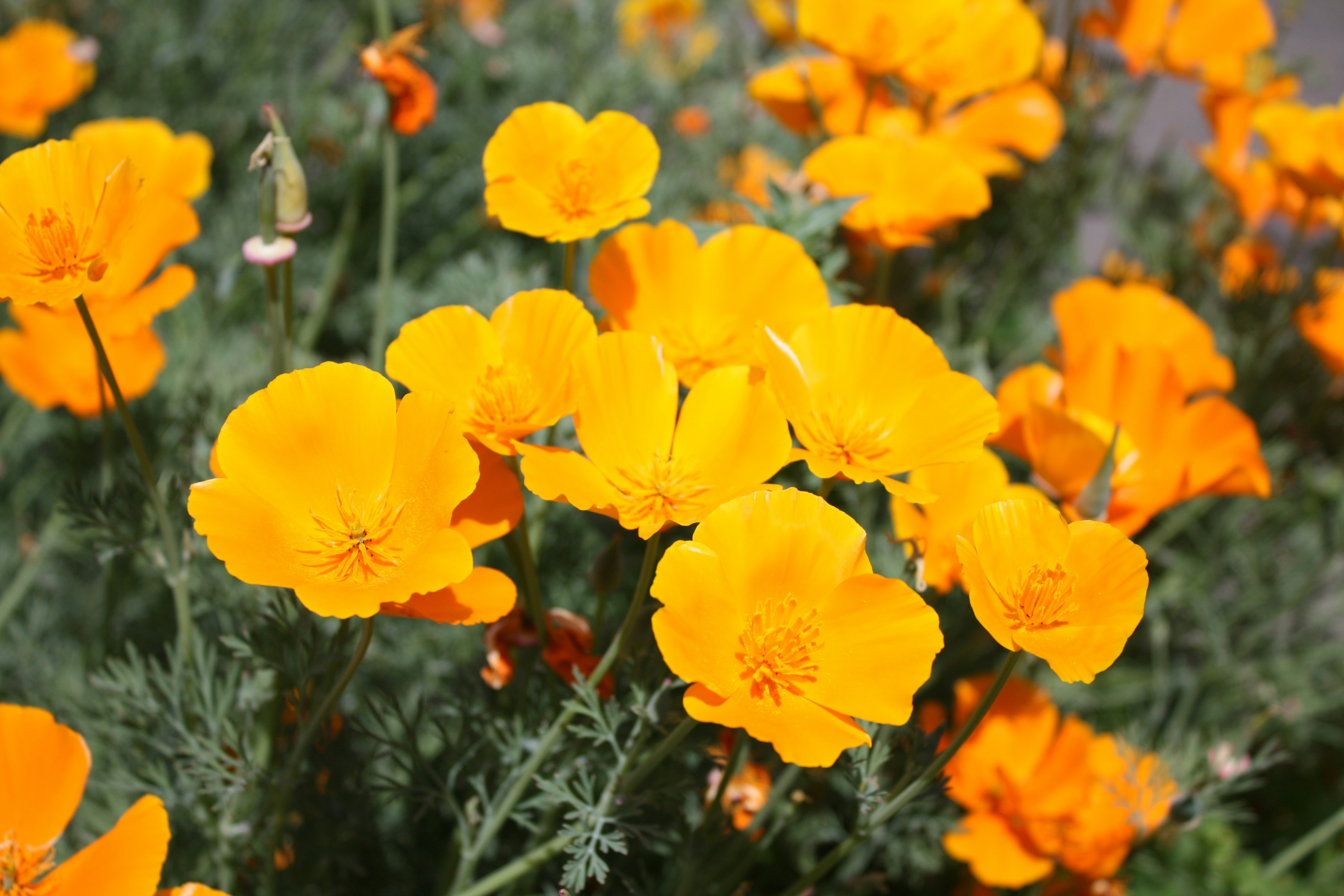 Photo by sunburned_surveyor