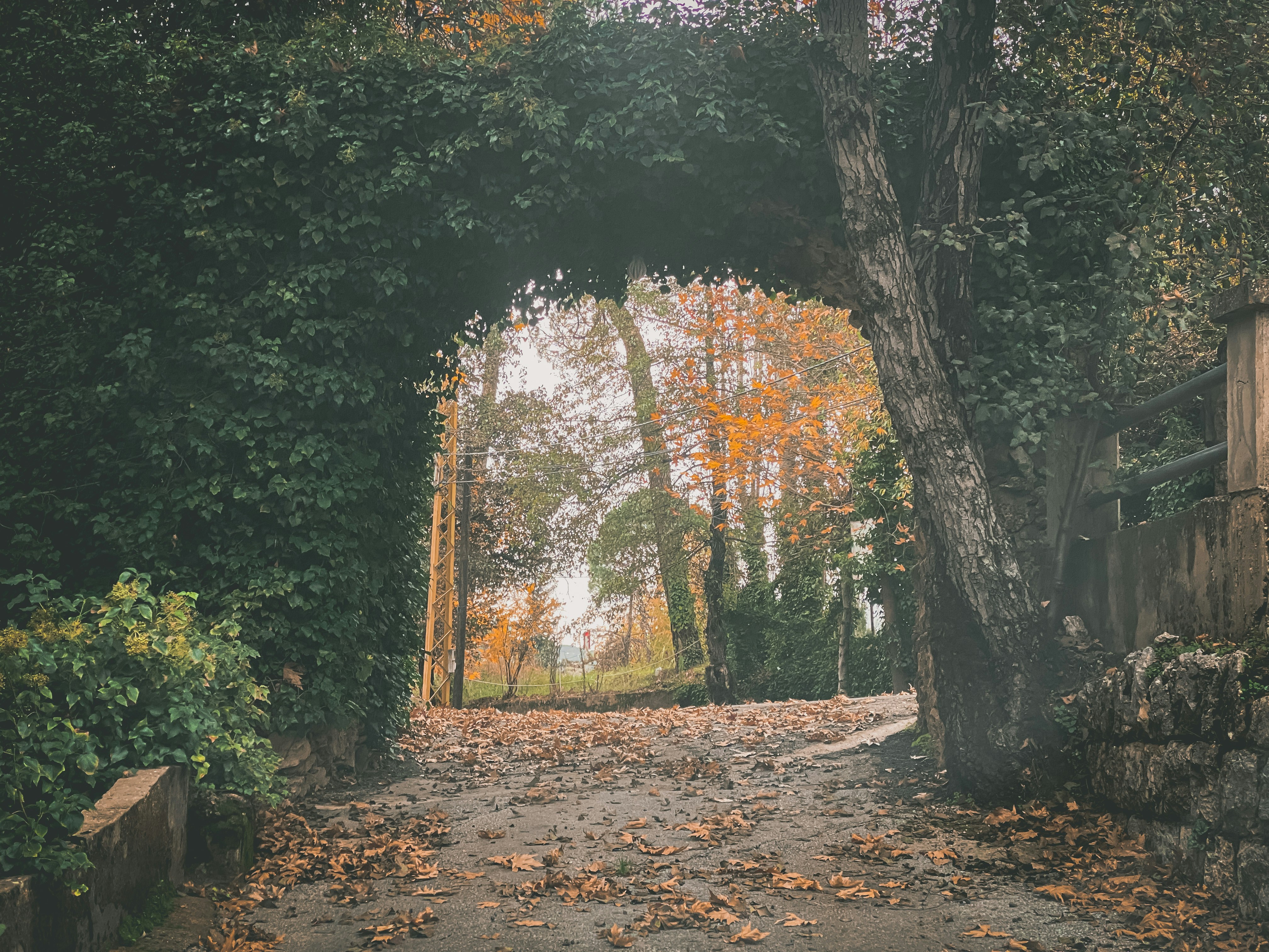 Photo by ezzeddine_alsin