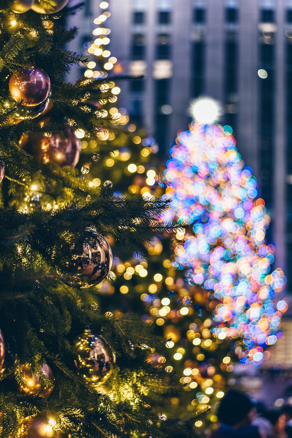 árvore de Natal verde com luzes de corda