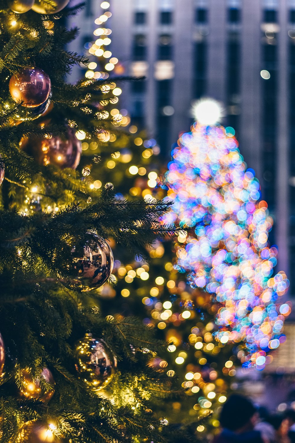 green christmas tree with string lights