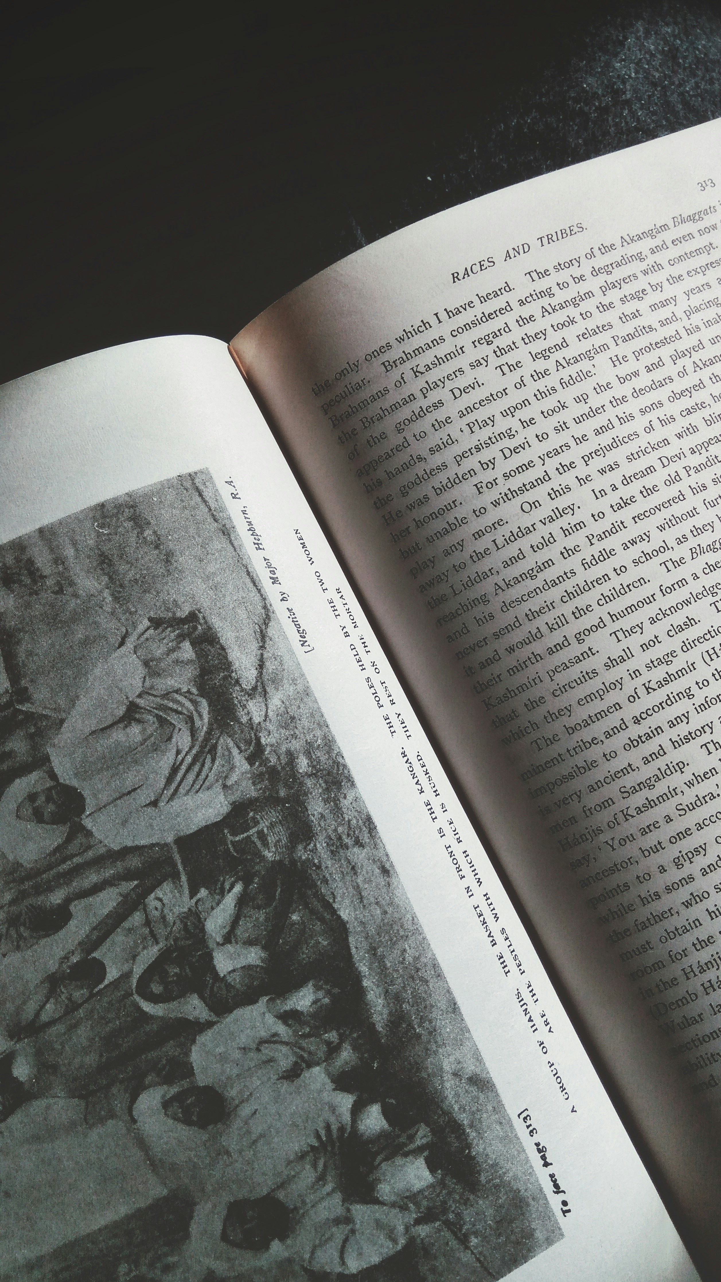 Exploring the Diverse Races of the Avatar Universe