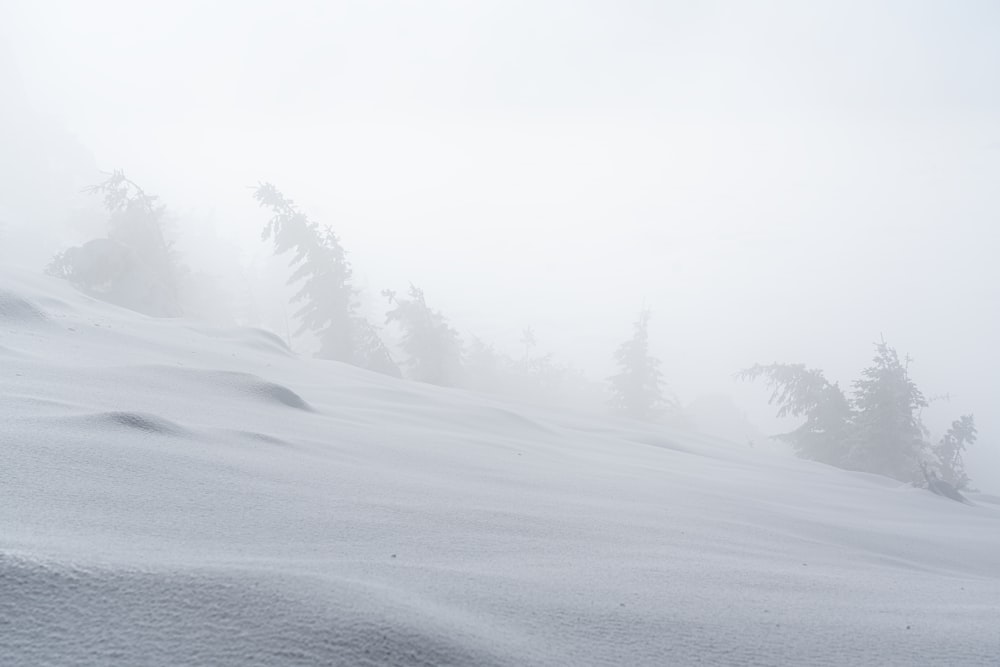 snow covered field during daytime