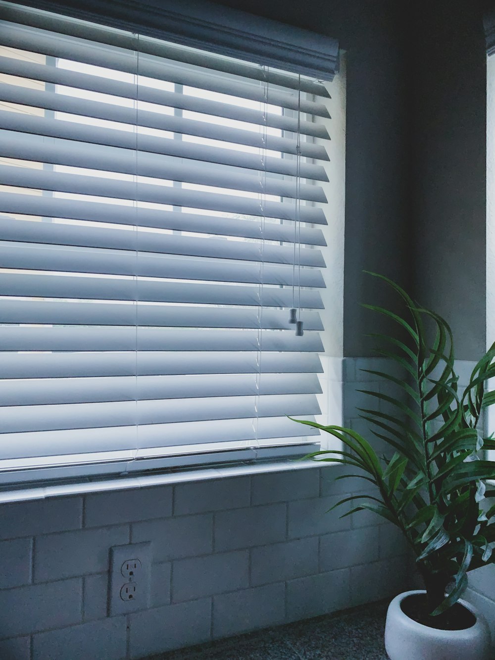 Window Shades Pictures | Download Free Images on Unsplash