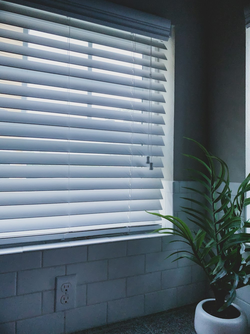 white window blinds on window