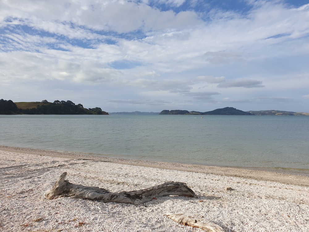 brown sand near body of water during daytime