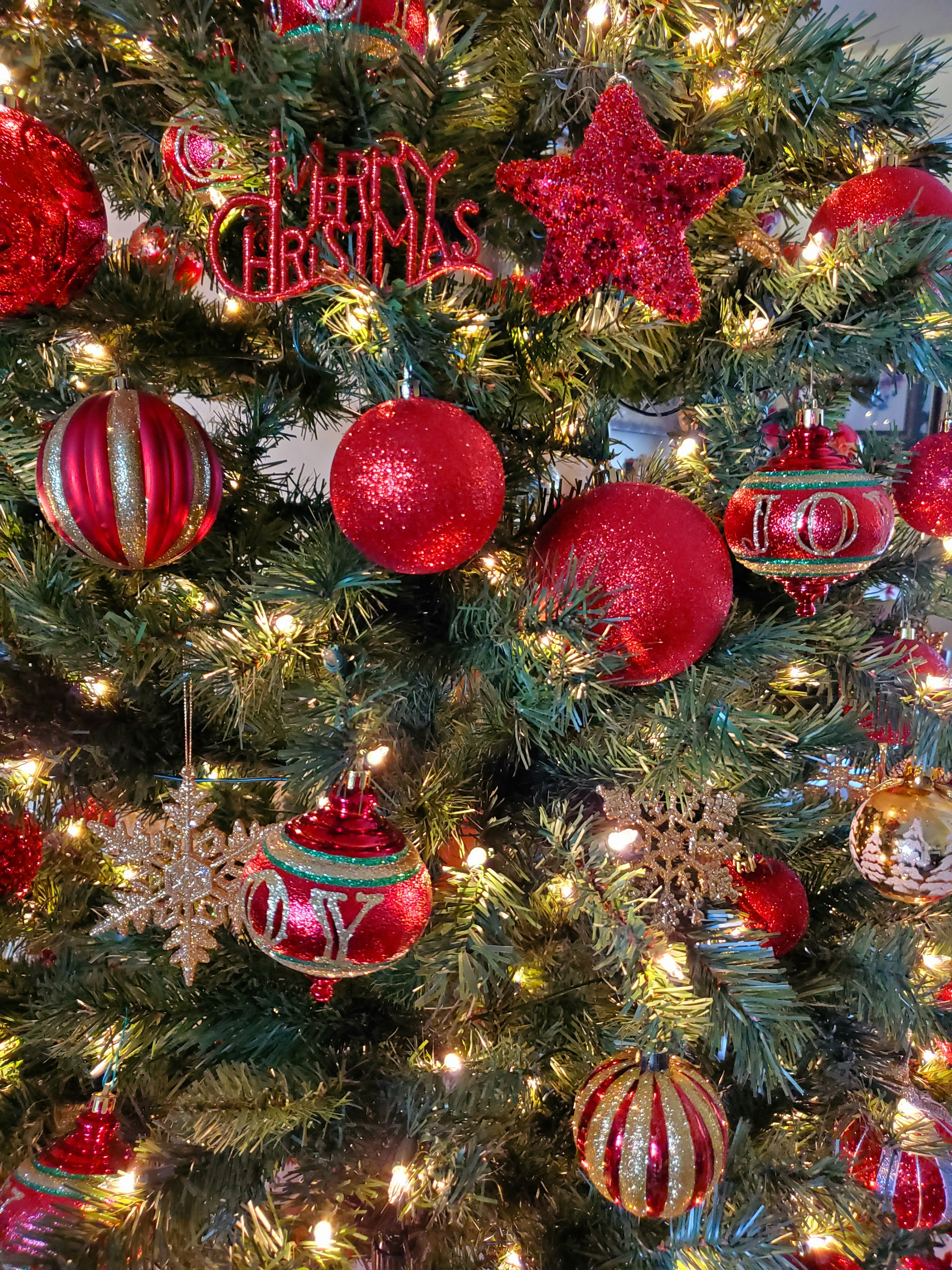 Red and gold baubles on christmas tree photo – Free Christmas tree ...