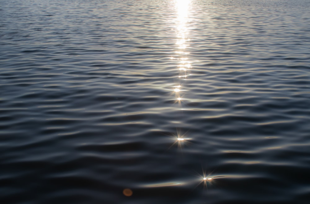 body of water during daytime