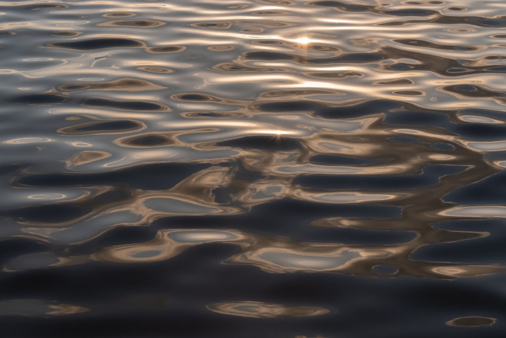 specchio d'acqua durante il giorno