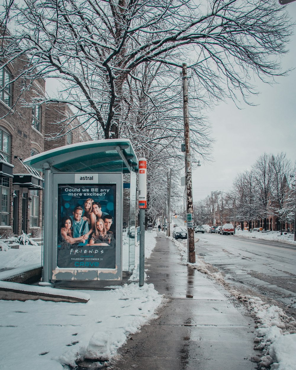 green and white telephone booth near bare trees during daytime