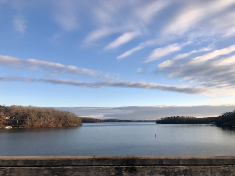 body of water near brown trees under blue sky during daytime