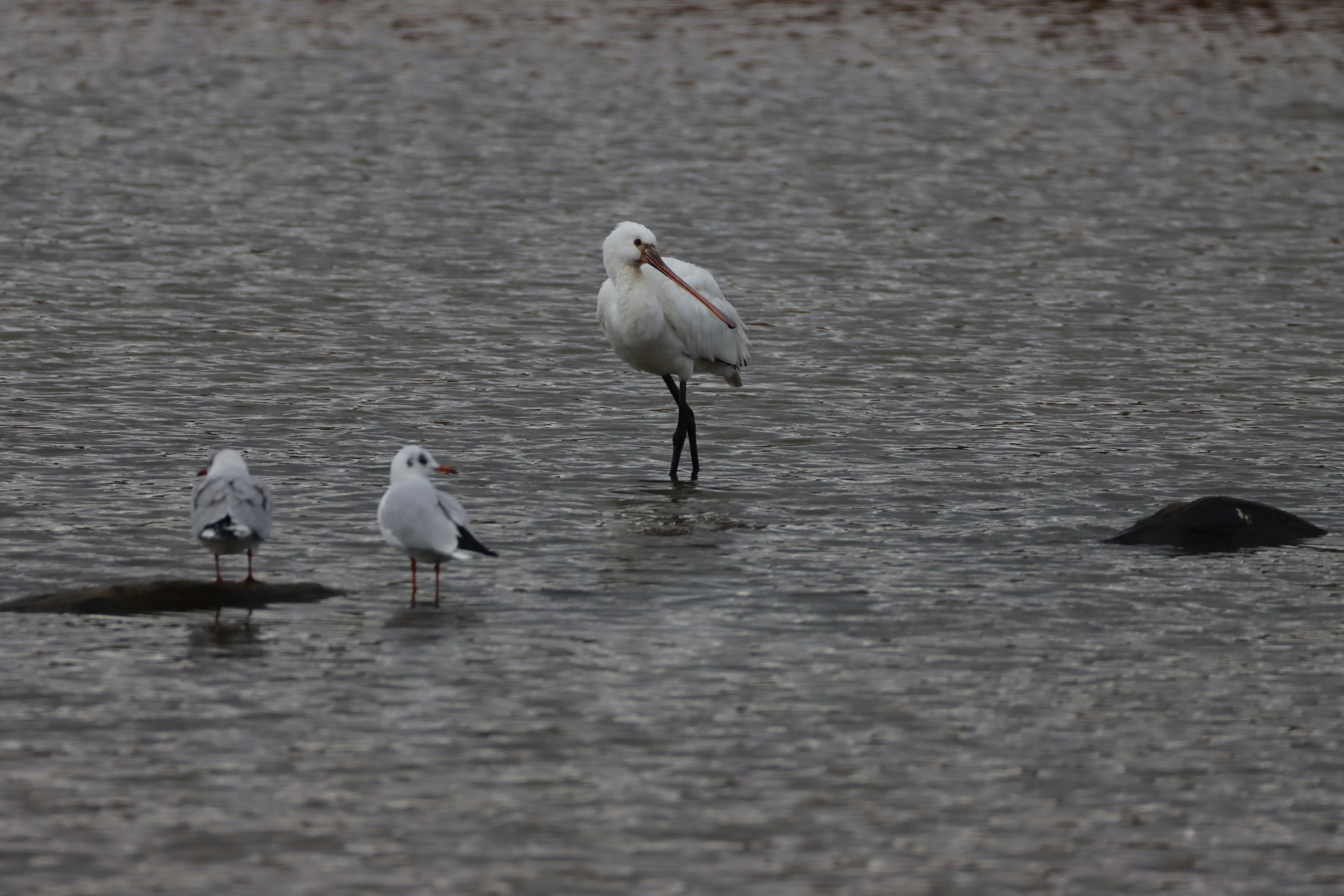 Photo by photasticlab