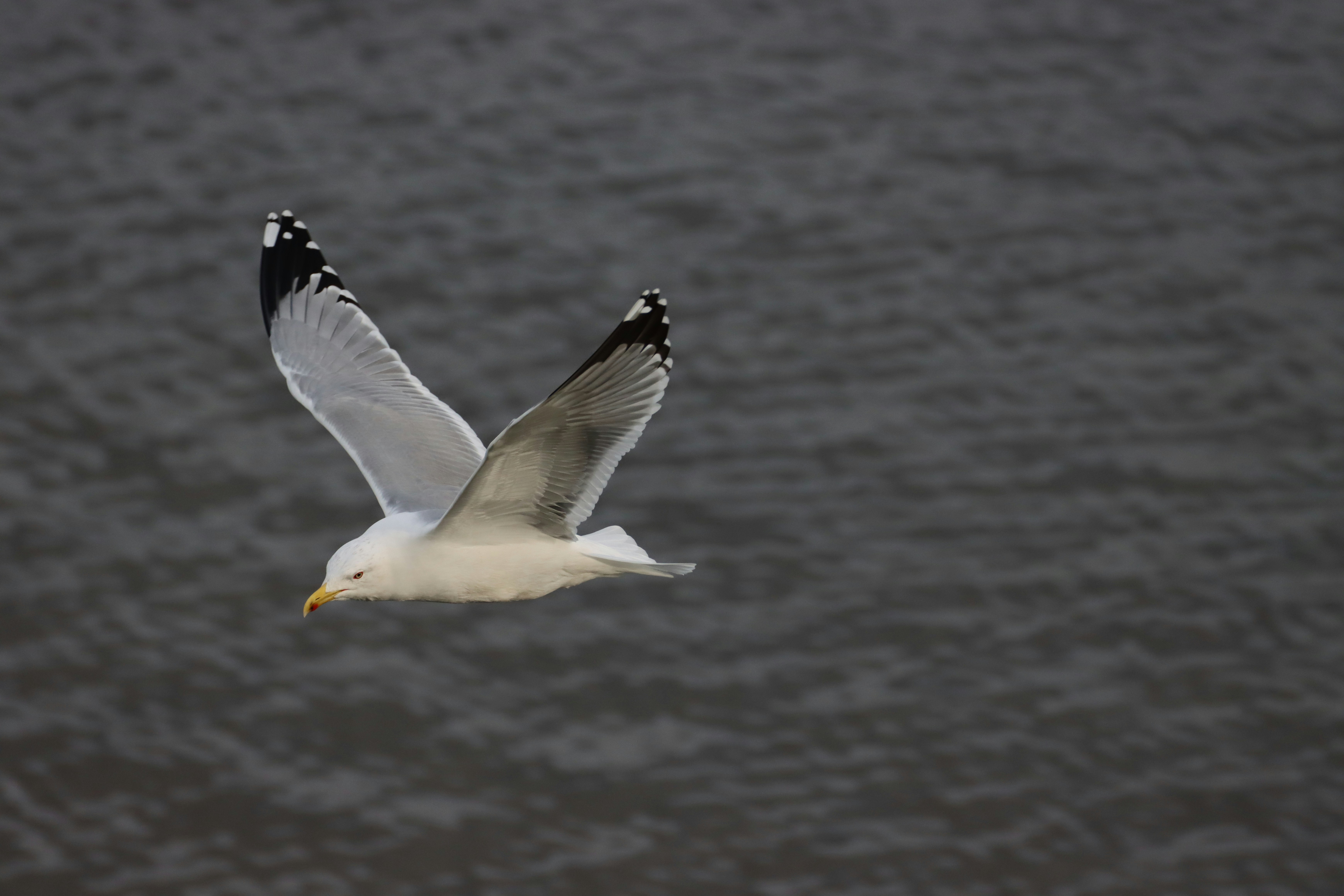 Photo by photasticlab