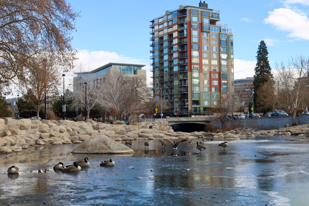 brown and blue concrete building near body of water during daytime