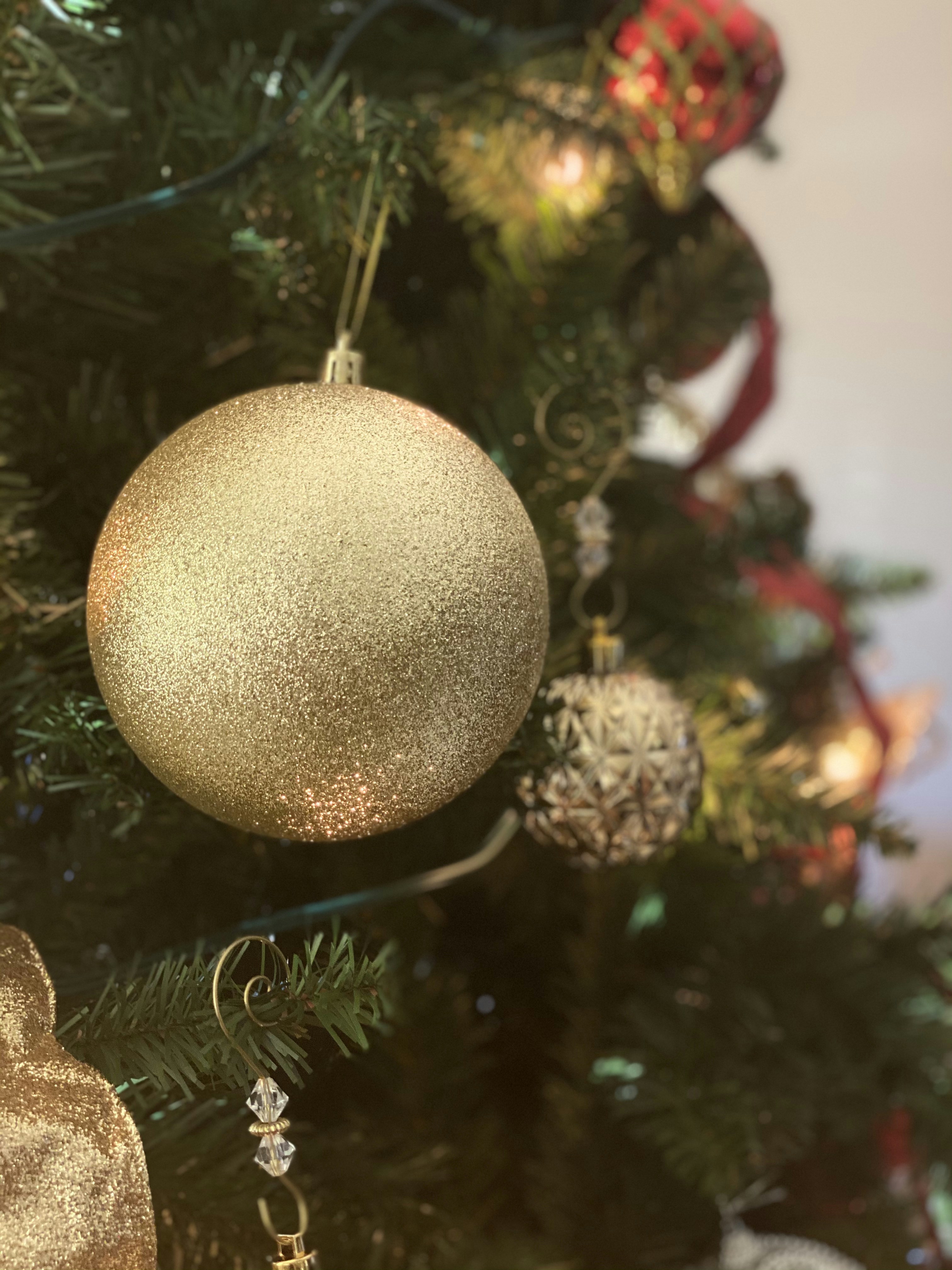 Photo by prelawmarissa98