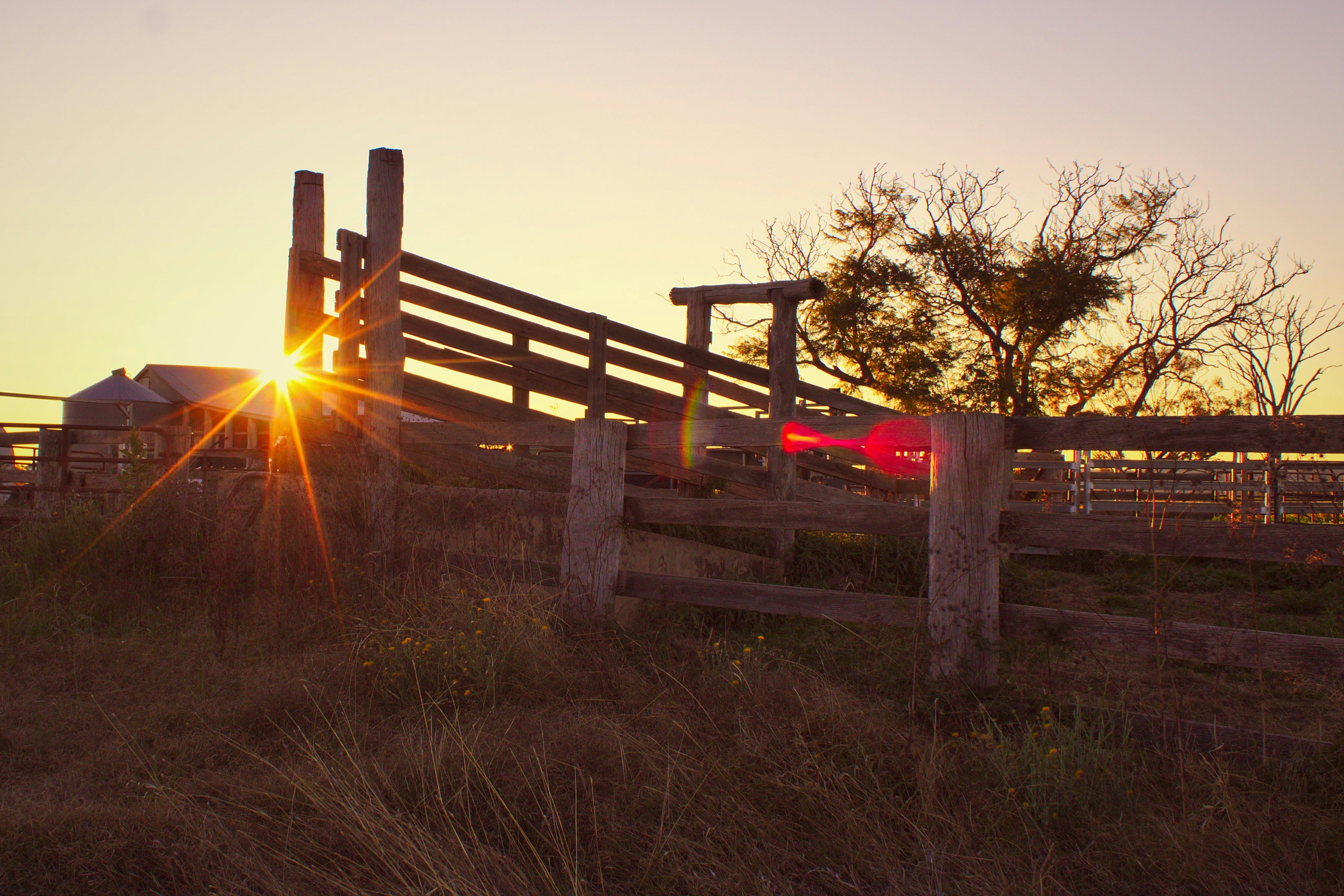 brown wooden fence on green grass field during sunset